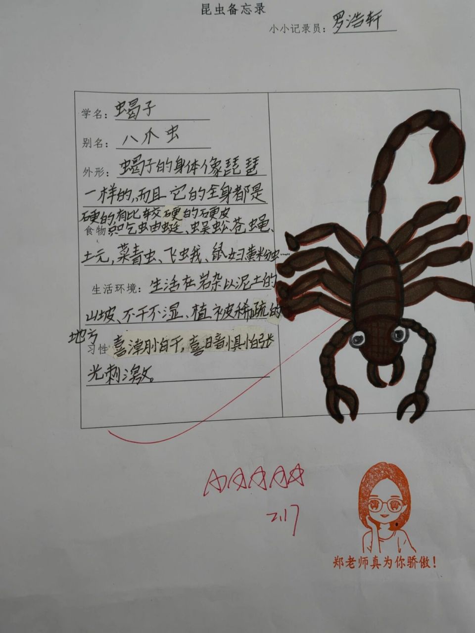 4《昆虫备忘录》拓展作业