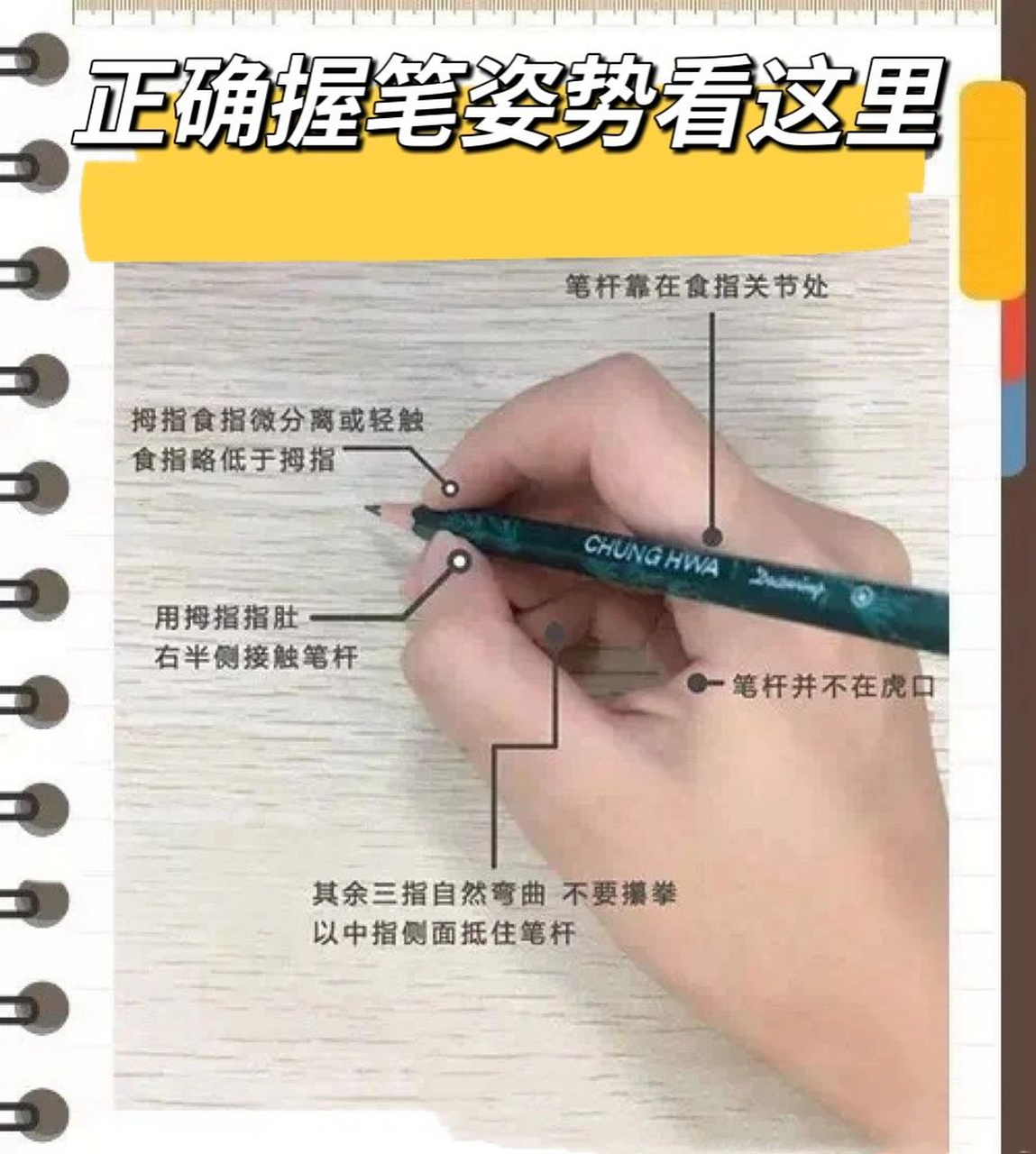 习惯|写字握笔姿势超详细图示和说明 手离笔尖一寸:可以用食指的一个