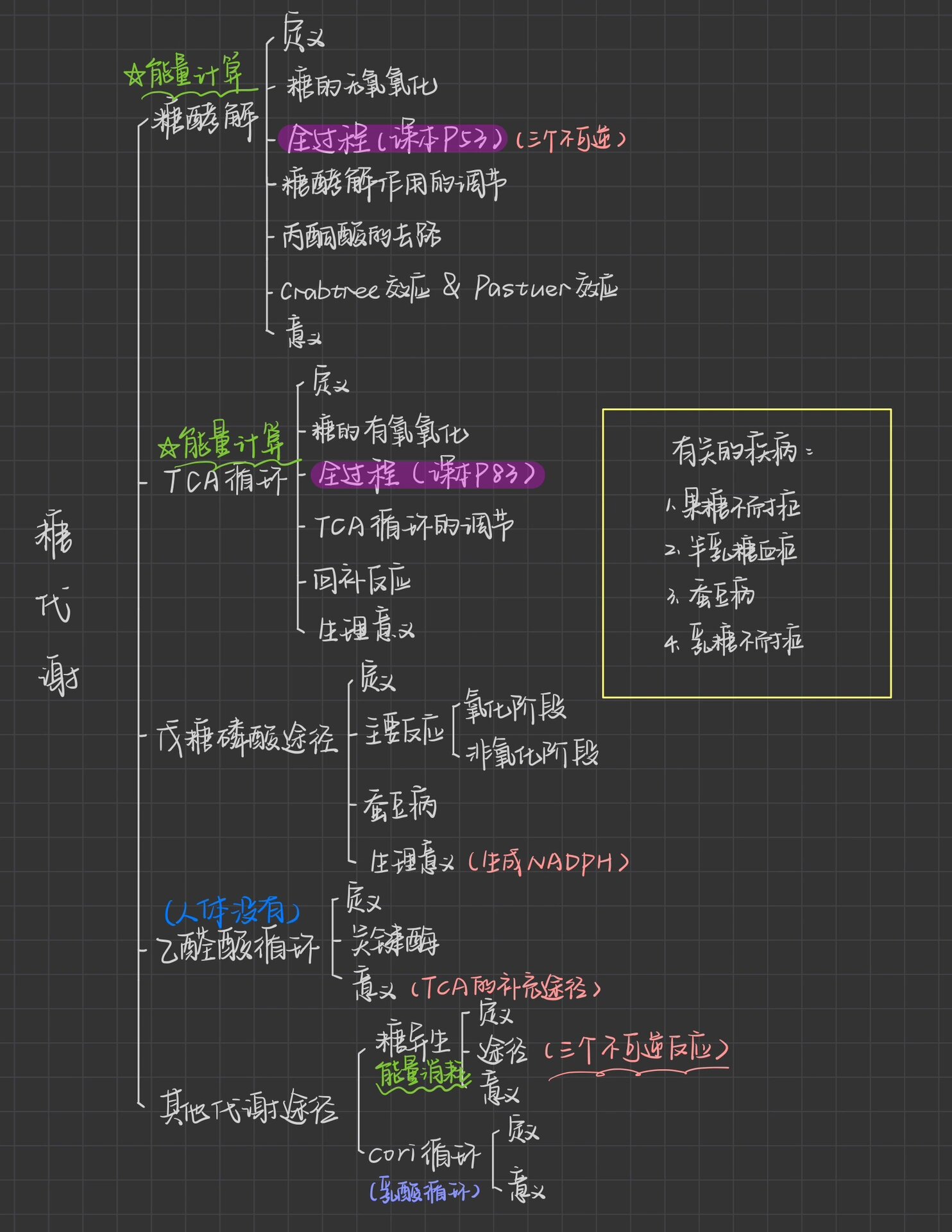 《糖代谢》 糖代谢思维导图 不好意思大家,上次把有氧氧化和无氧氧化