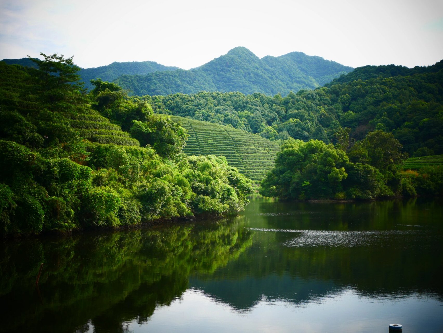 杭州|西山国家森林公园 周边的农家乐值得一尝 	 爬山的人少 i人友好