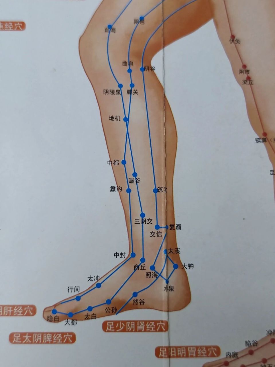 8715人体全身穴位图   我觉得穴位图就跟世界地图一样,应该收藏