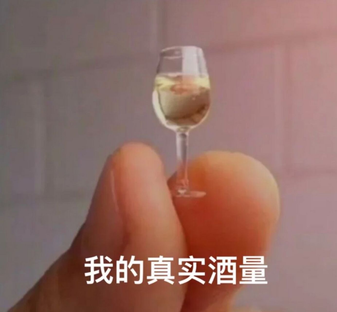 约酒表情包✨我是个没有感情的酒精容器🥳 瓶瓶安安,尝尝酒酒