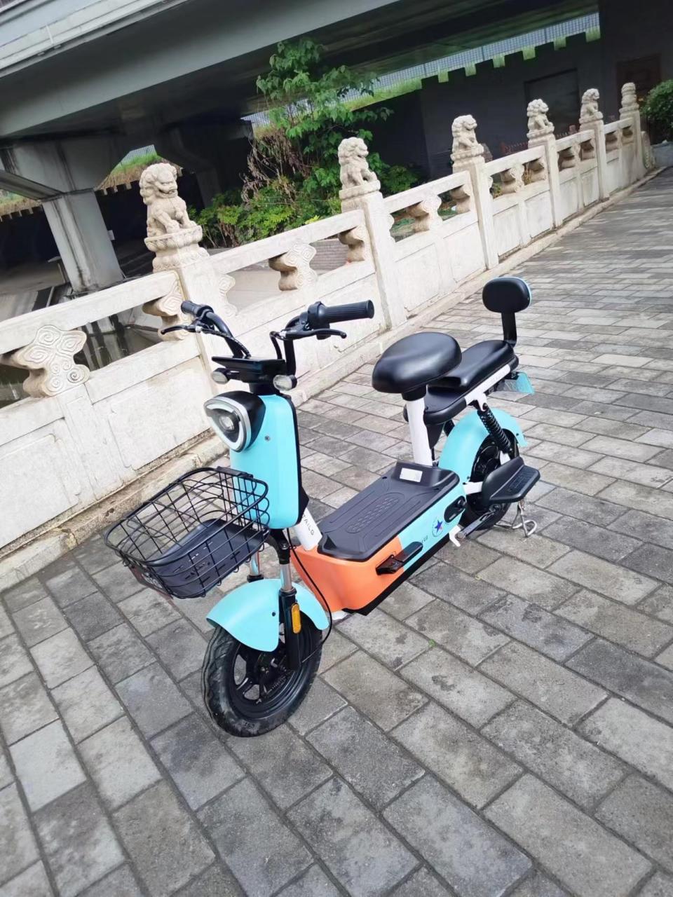 2022年台铃电动车60V32图片