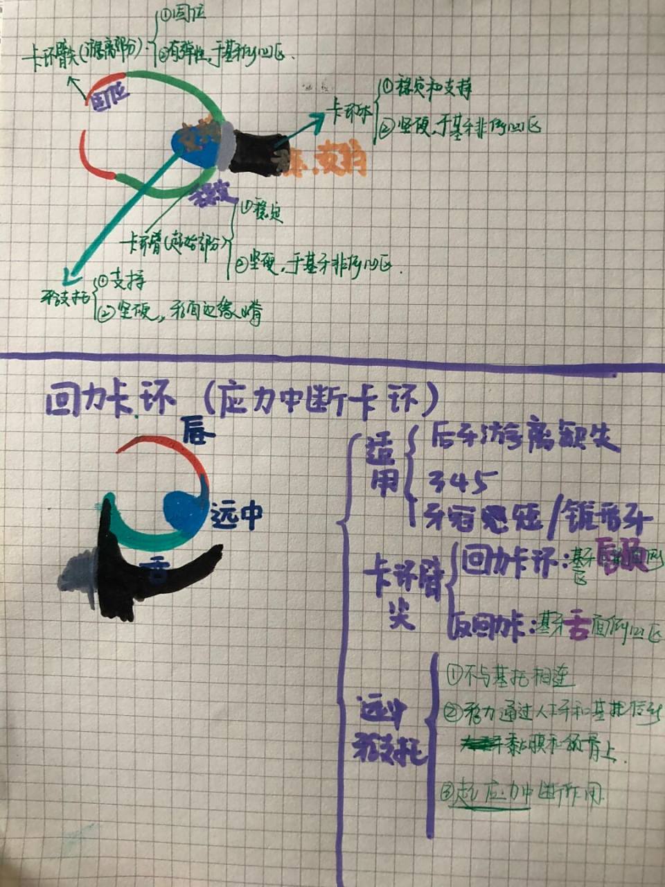 回力卡环# #卡环的组成与各组成部分作用