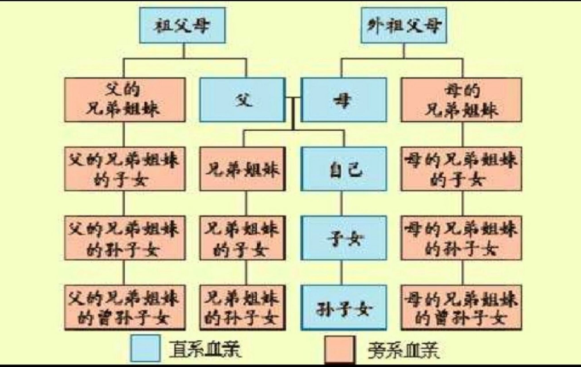 比如说直系亲属,泛泛而说好像谁都知道,但具体