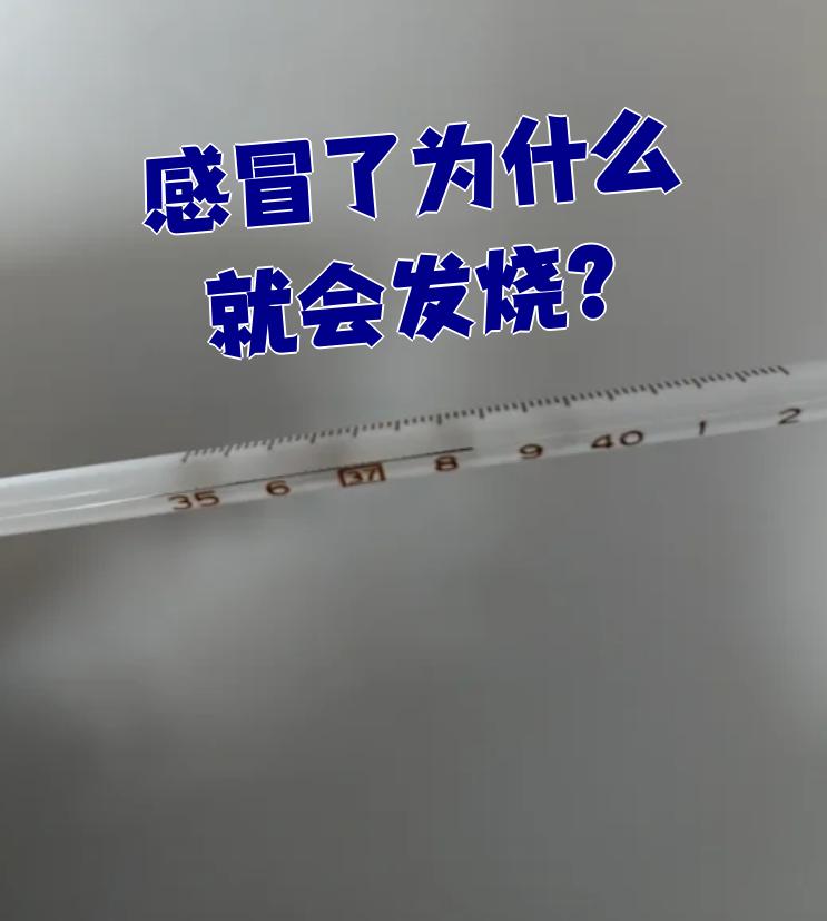 发烧因为什么 发烧因为什么