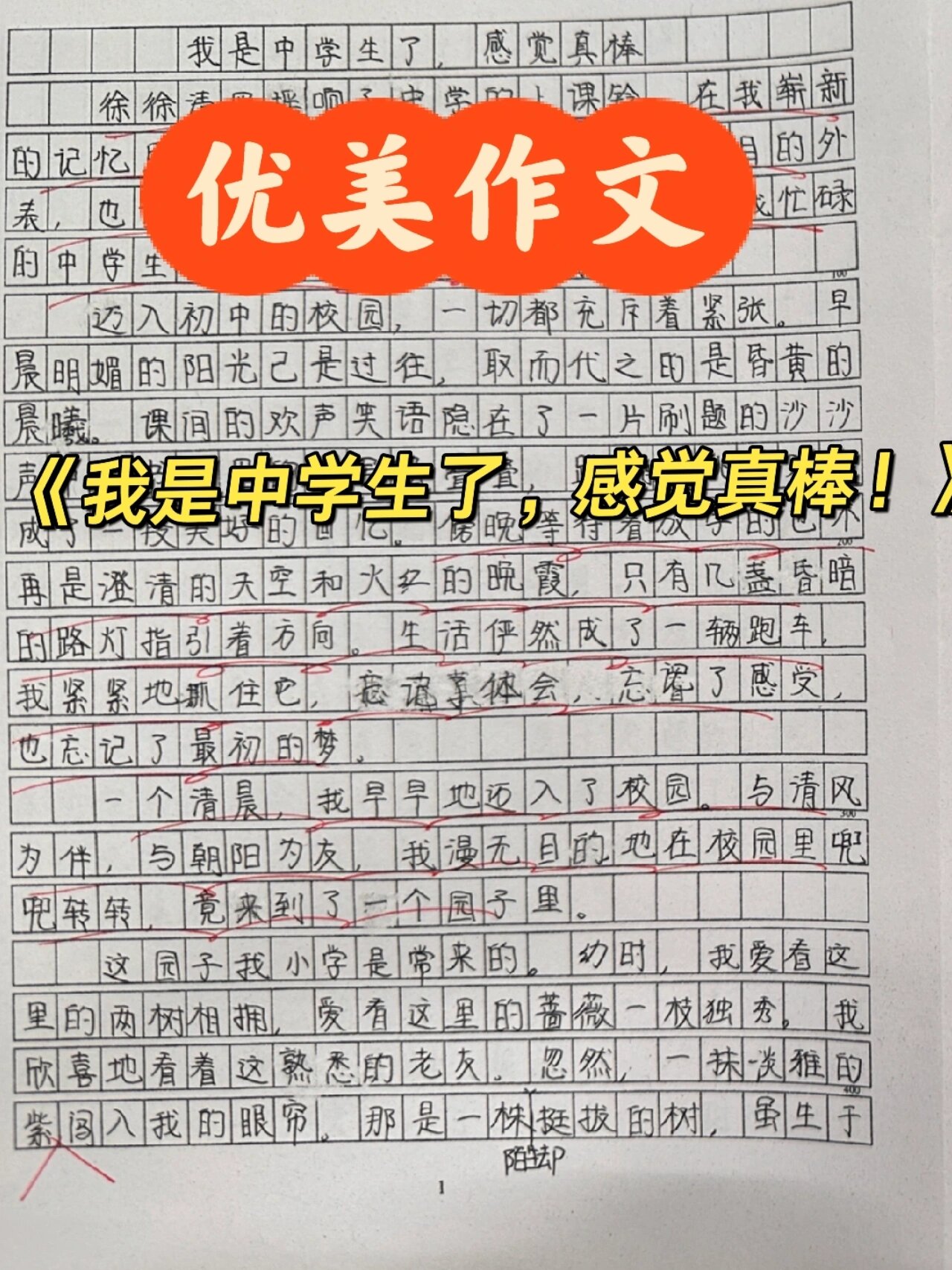 初中生优秀作文(初中生优秀作文范文) 第2张 初中生优秀作文(初中生优秀作文范文) 第2张