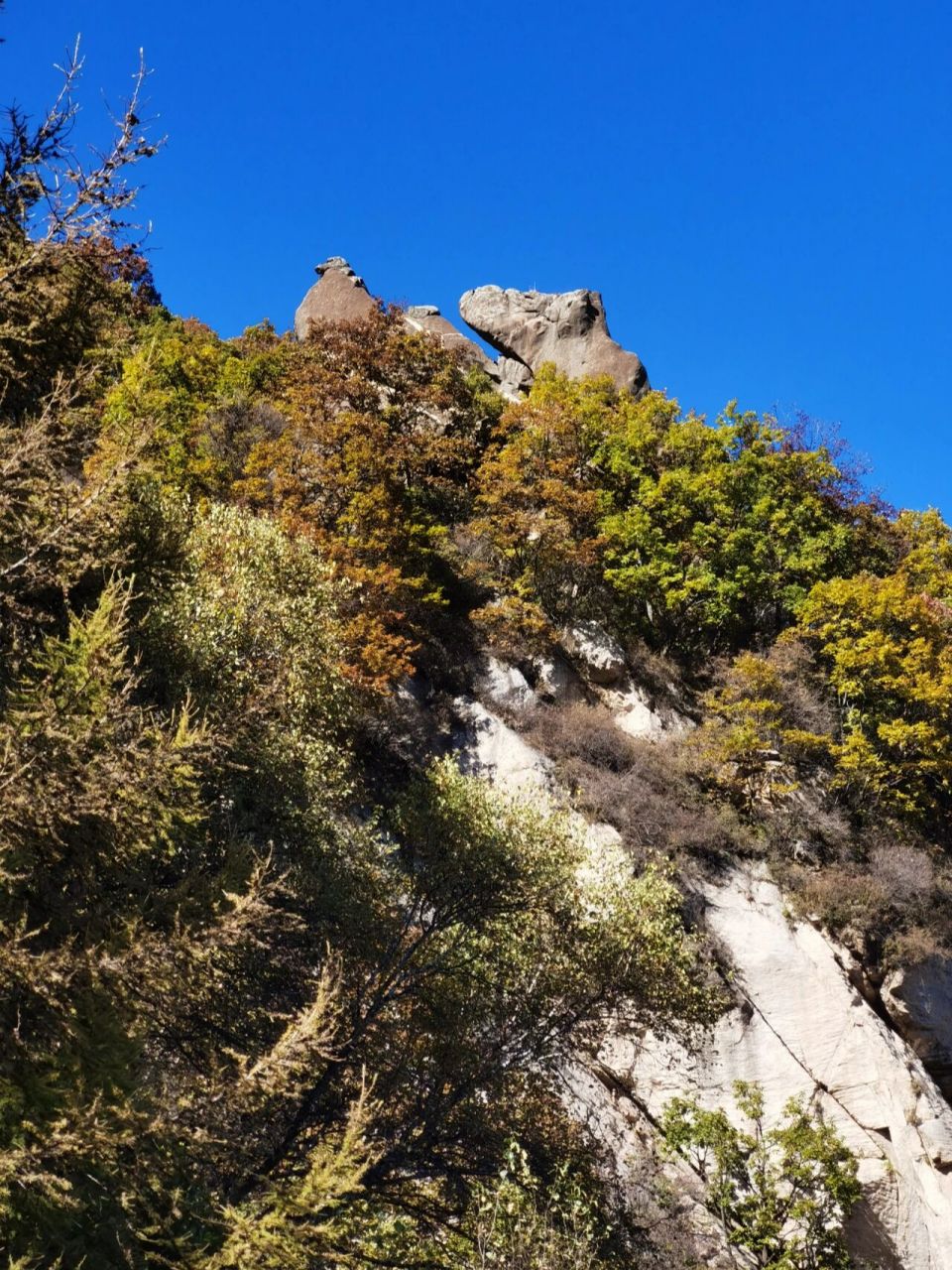 五岳寨风景区 五岳寨位于灵寿县西北部深山区,因五座山峰并列耸立,且
