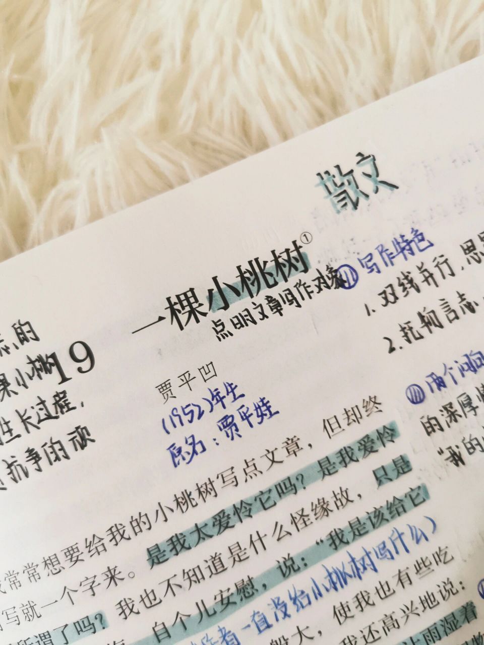 78七下语文预习笔记|第19课 一棵小桃树