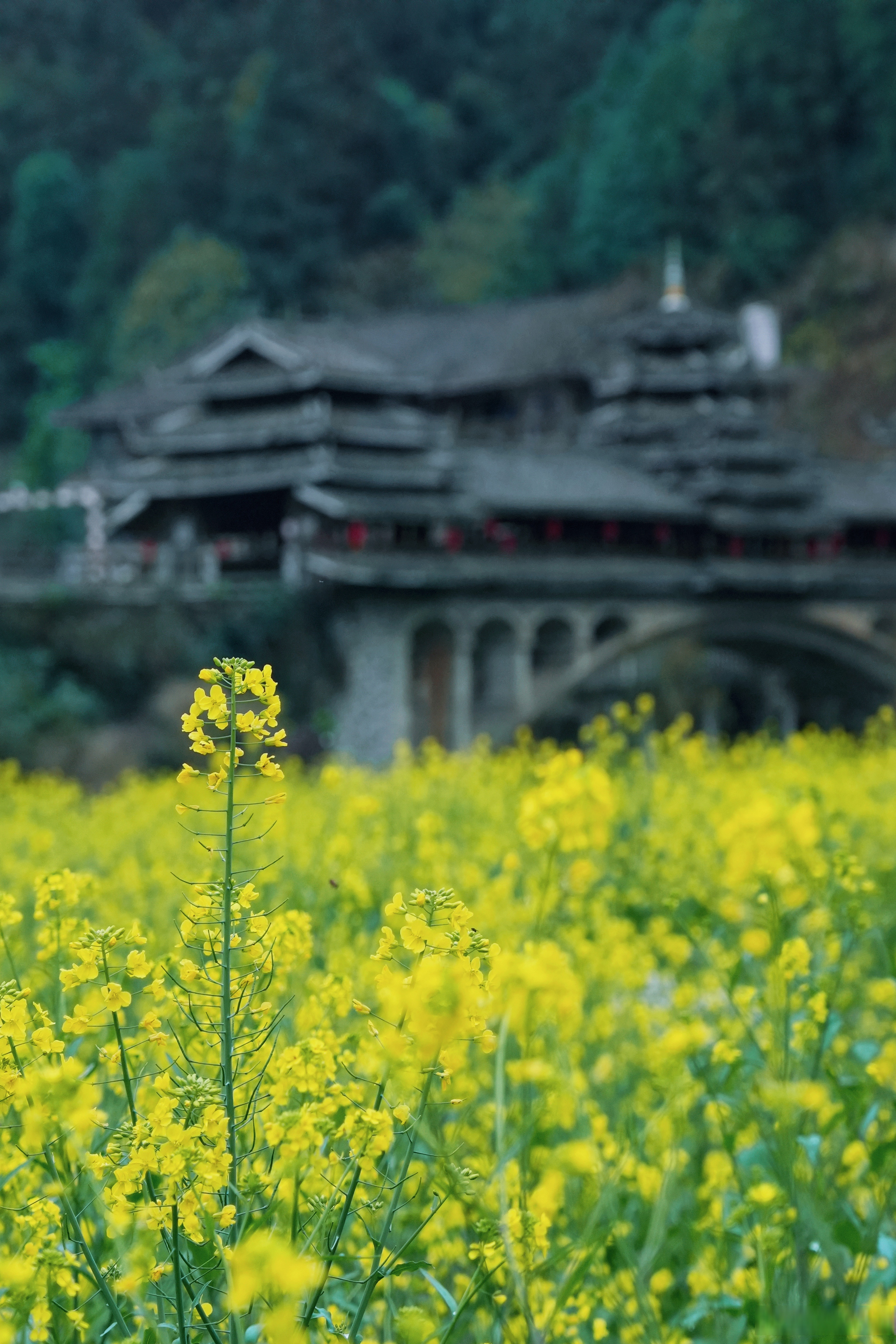 程阳八寨景区图片