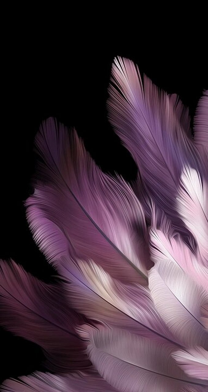 oppo find n3内置原生壁纸