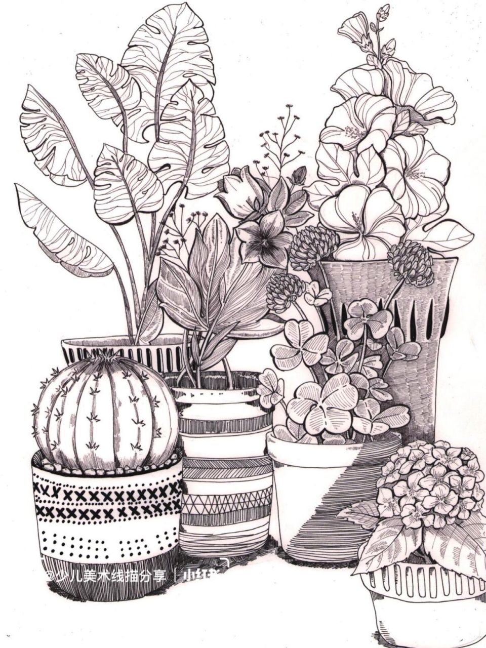 少儿创意线描|线描-植物装饰