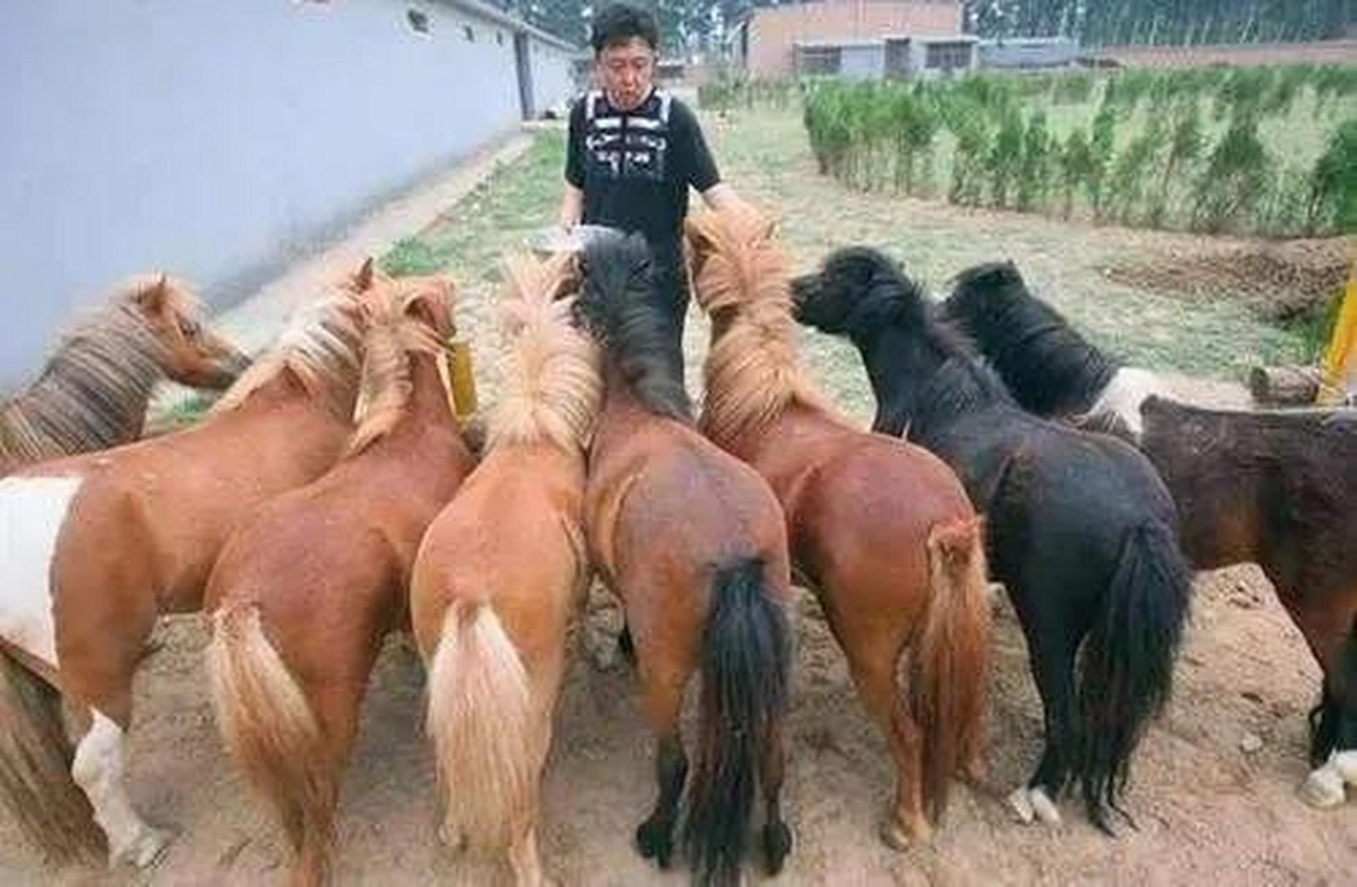 玩咖于谦办动物园始末!  于谦曾说过自己为什么办了一个动物园:"朋友