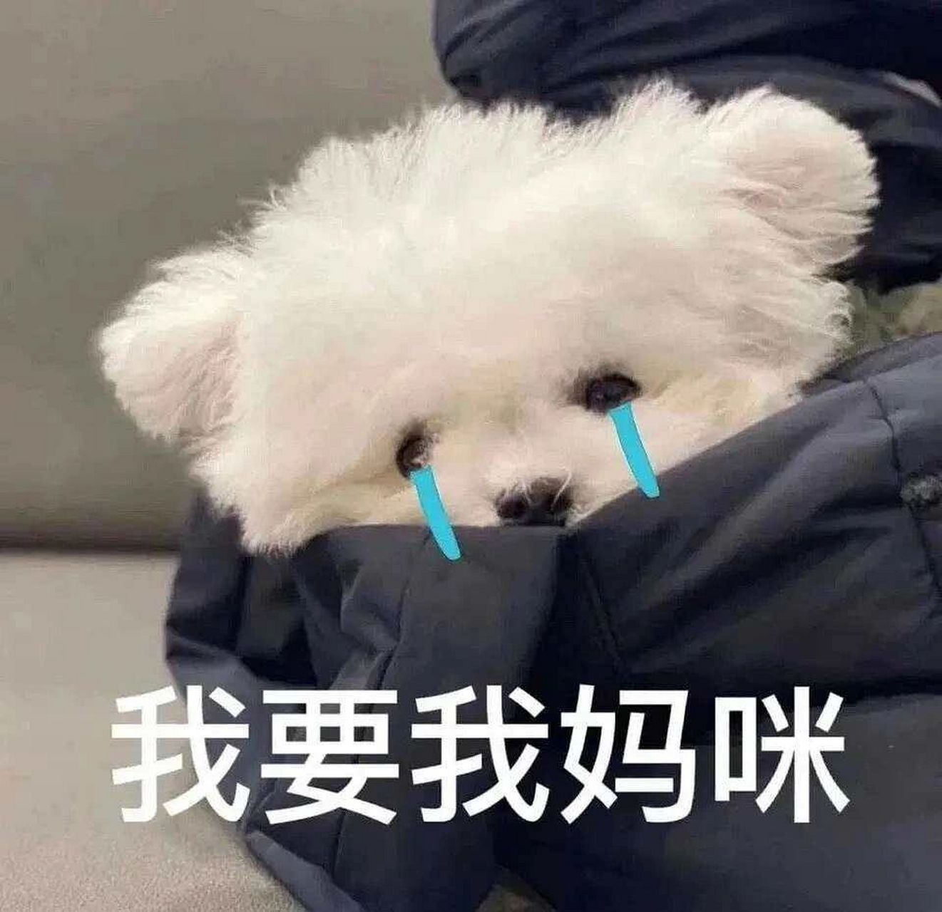 一些想妈妈的表情包 妈妈永远是我内心深处最爱的人