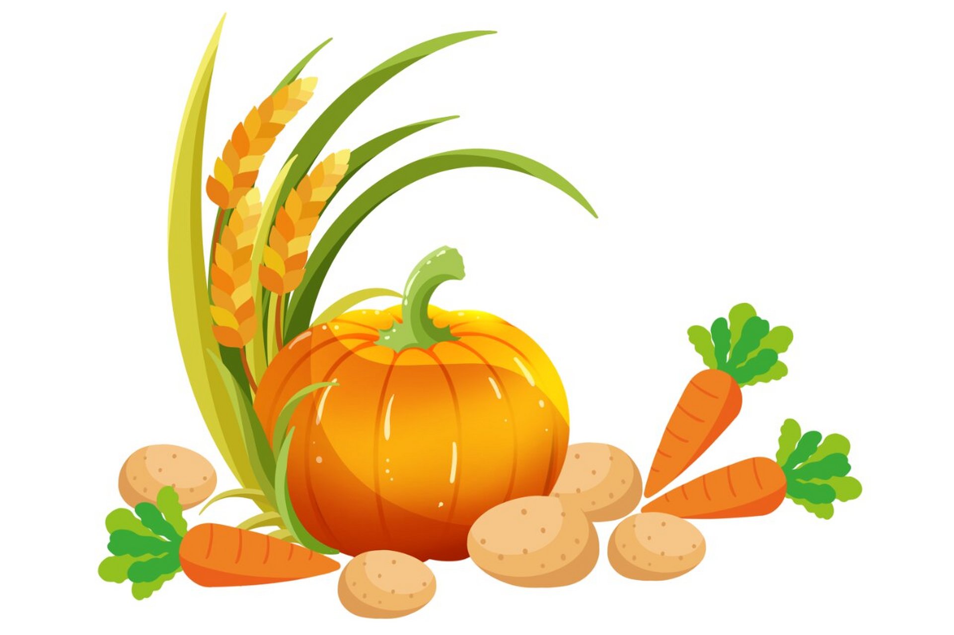 在这秋分时节,更是充满了丰收的喜悦.