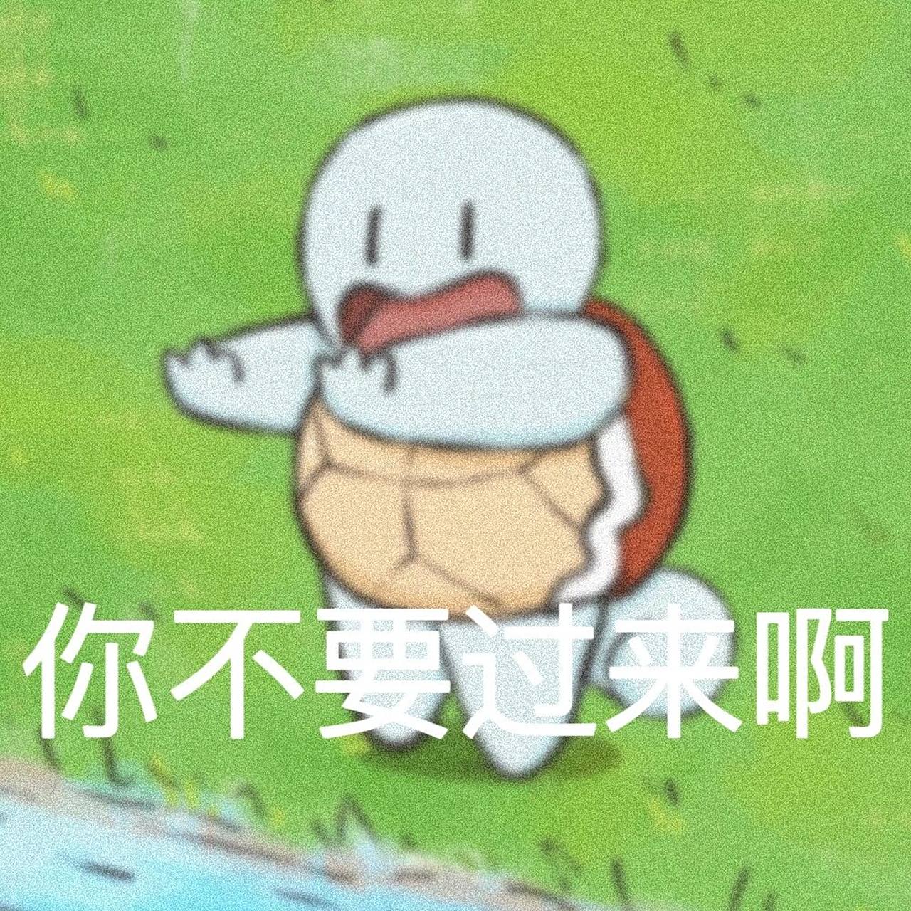 杰尼龟表情包 第十五弹