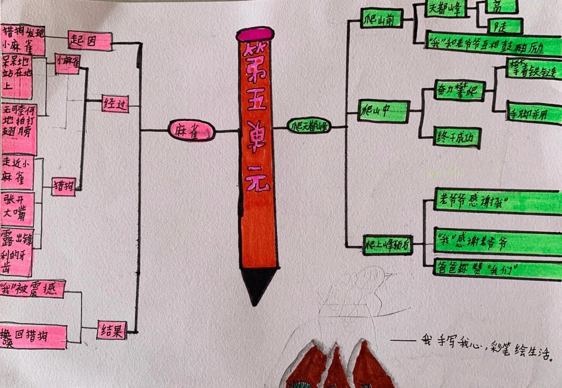 部编版四上第五单元思维导图