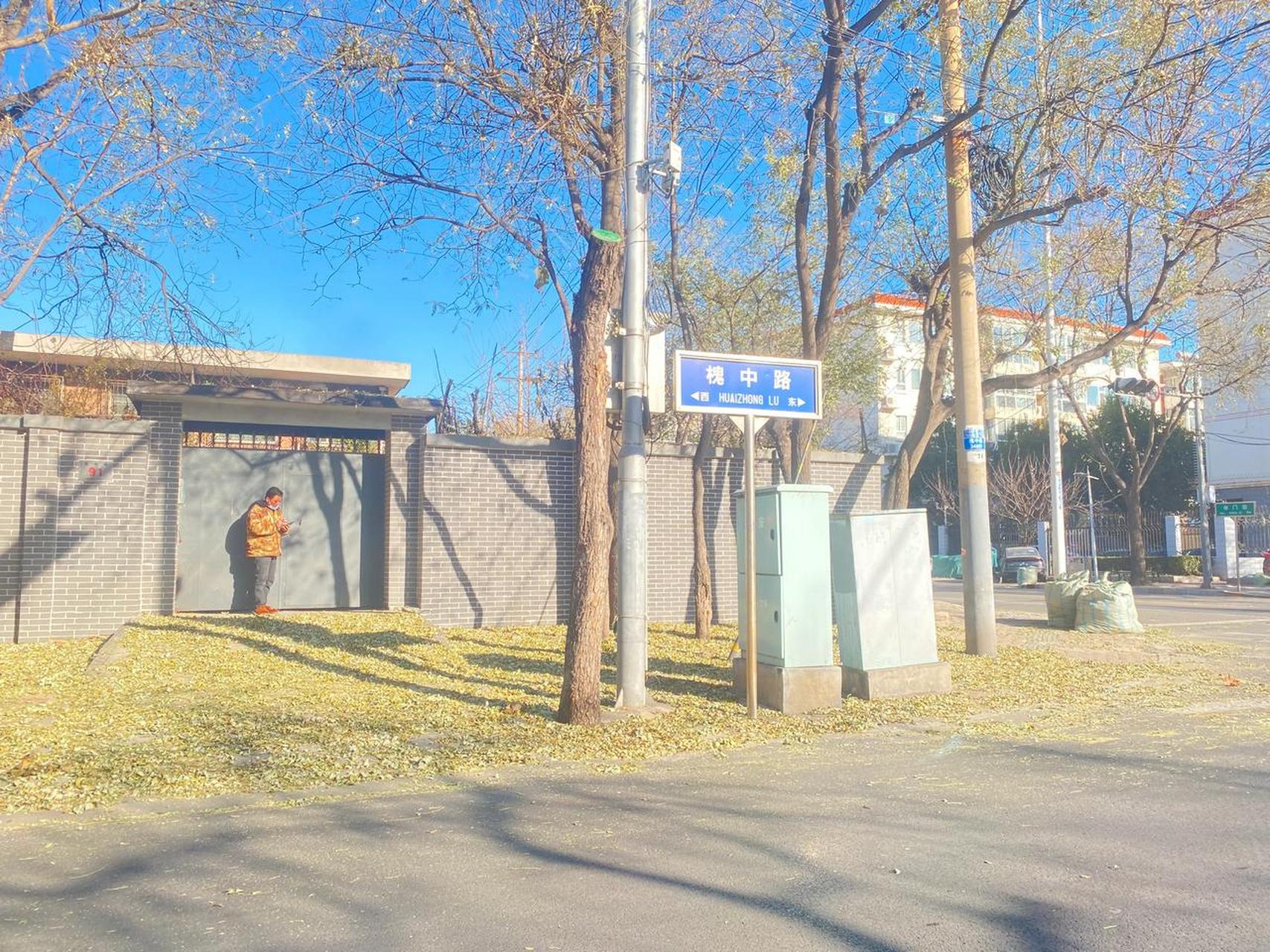 石家庄解封第一天,人不多,满大街的落叶不少!