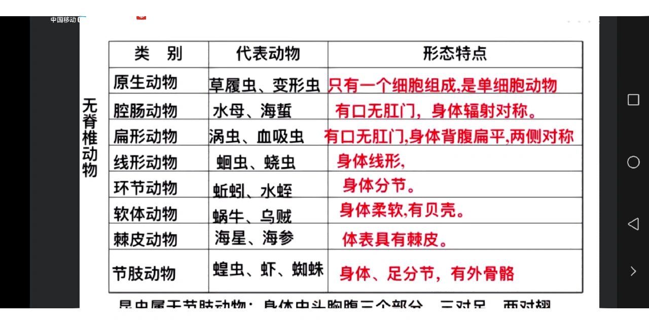 无脊椎动物检索表图片图片