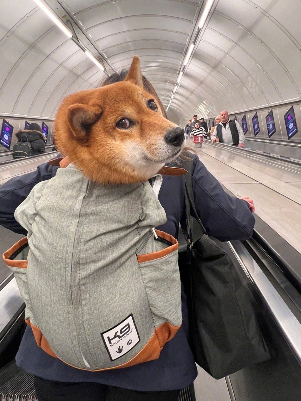 "嘿嘿……我有人背呢～"