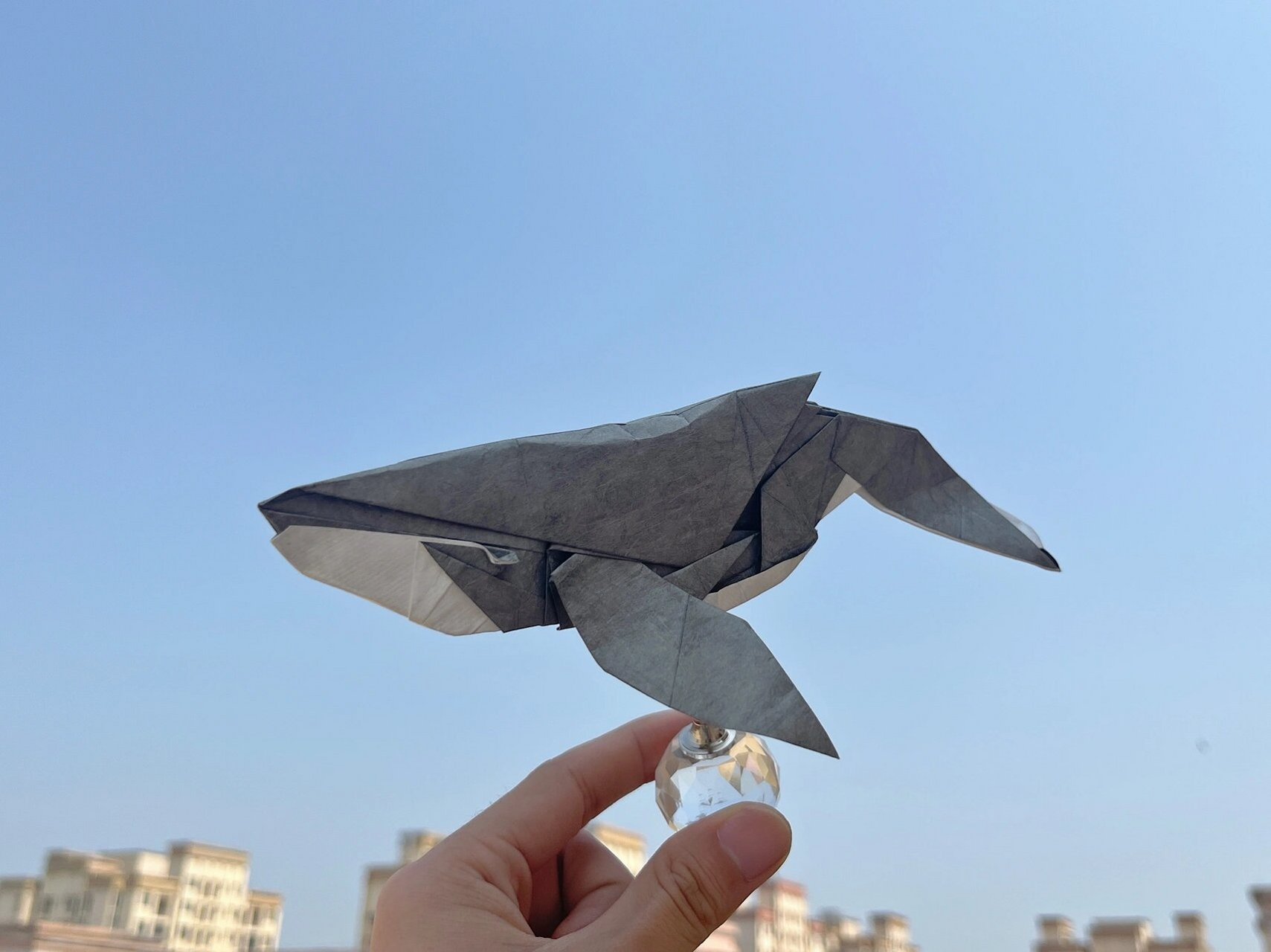 折纸虎鲸&座头鲸 设计:神谷哲史&park jong woo 折拍:爱折纸的guitar