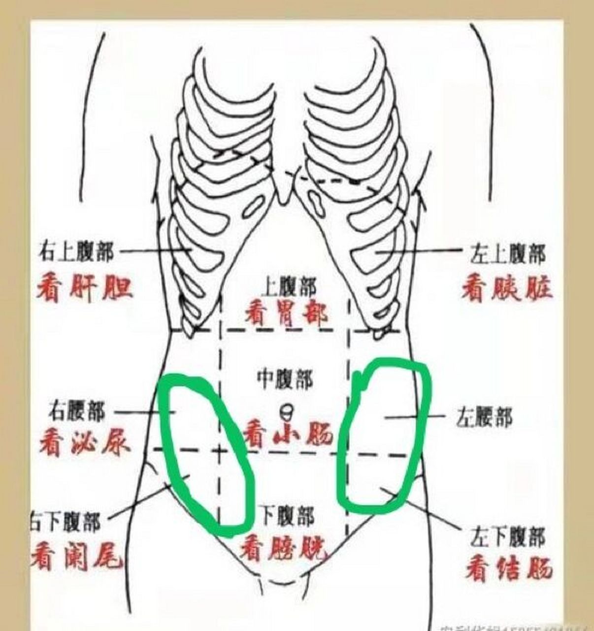 ct 没什么事,约了个肠镜,现在还没排到,最近两周开始绿色划圈位置隐痛