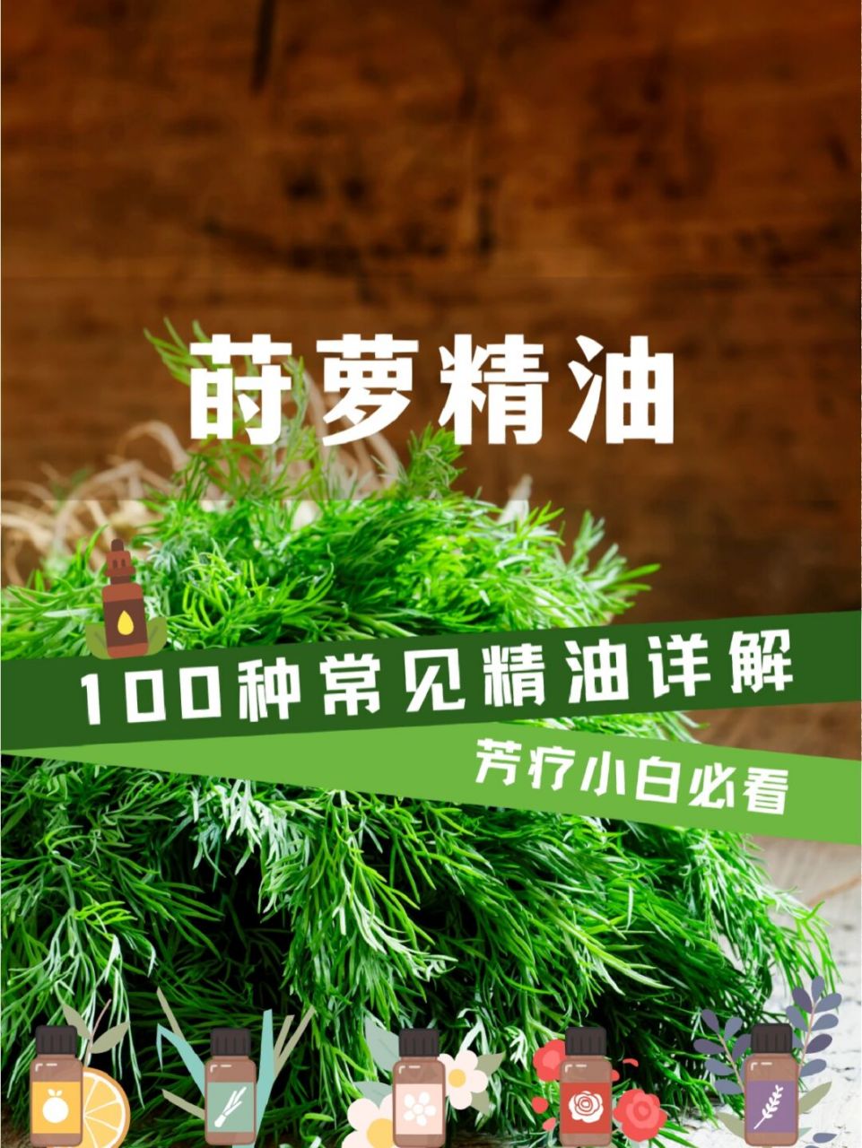 古老药用植物莳萝精油,消化系统的守护者 9191莳萝也是伞形科的