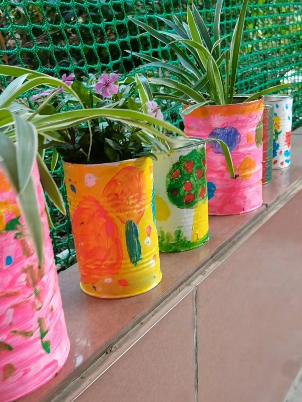 变废为宝|奶粉罐改造成花盆 这又是我们的志愿者活动成果哦 每个亲子