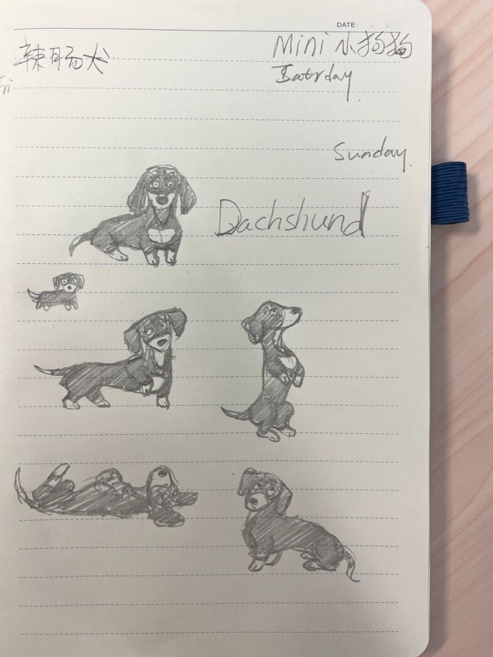 98狗狗简笔画100-21|腊肠犬 狗狗简笔画第21弹,今天是腊肠犬[期待]