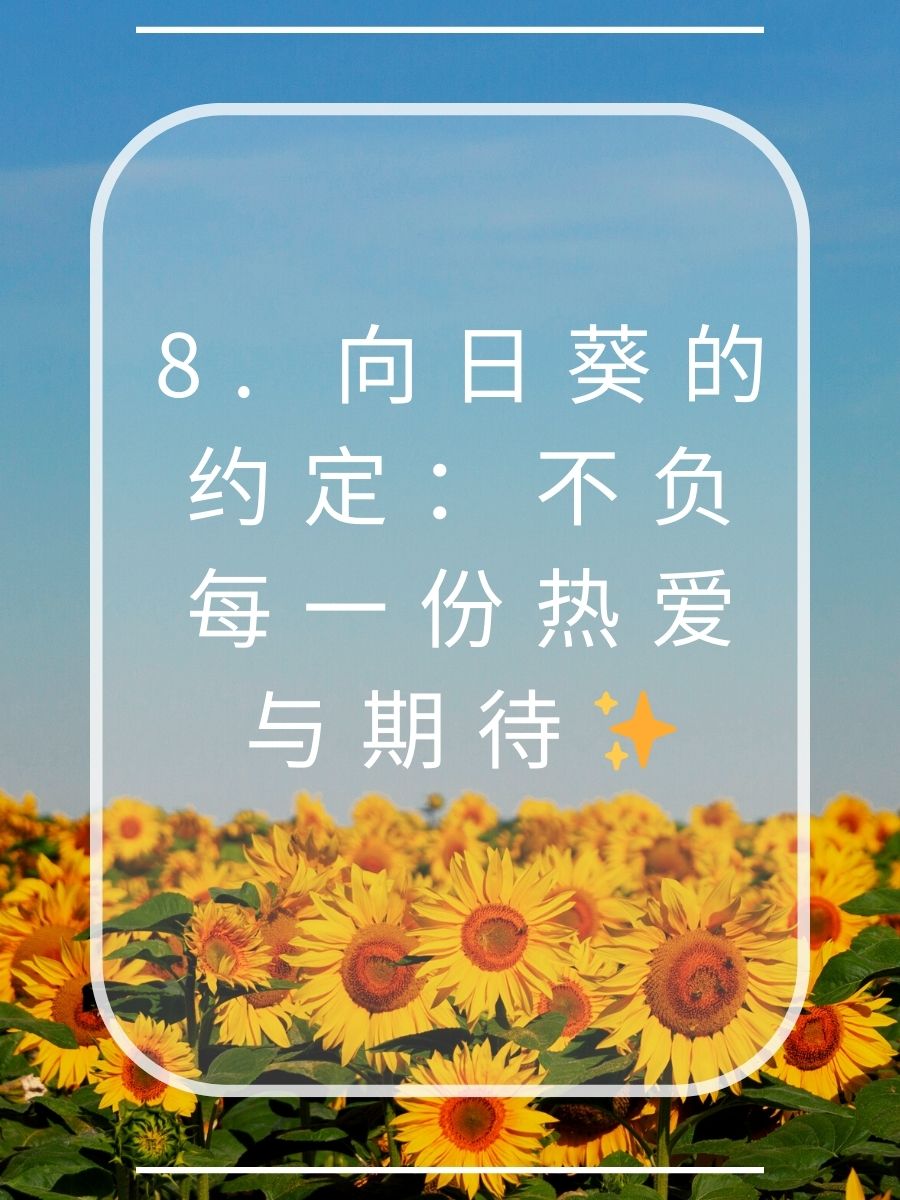 向日葵花语经典短句 1 向日葵:阳光是我的信仰,微笑是我的力量 2