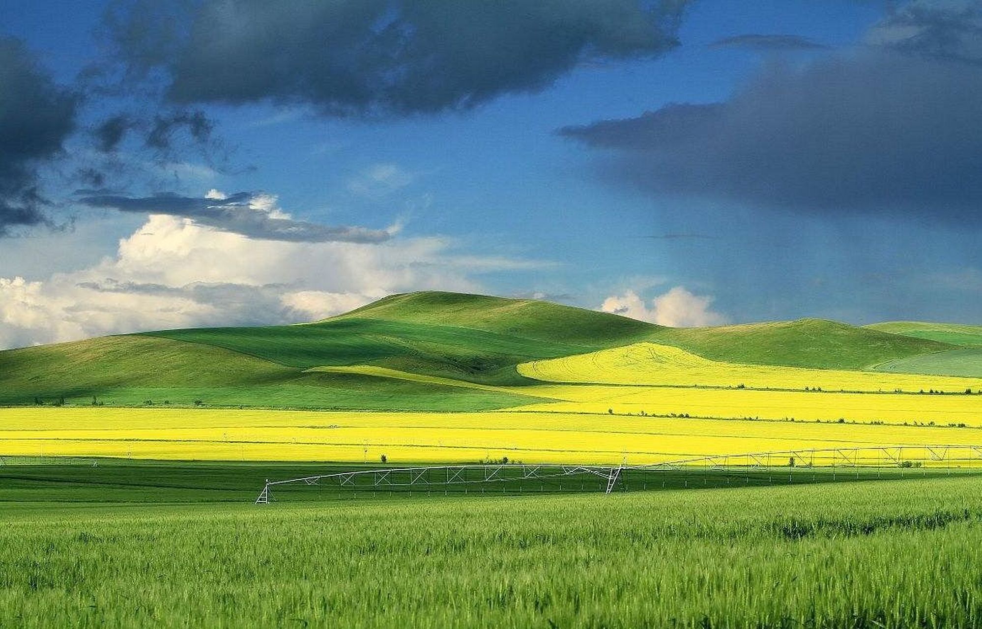 内蒙十大必去景点推荐 内蒙古特色景点 1,呼伦贝尔大草原.呼伦贝尔大