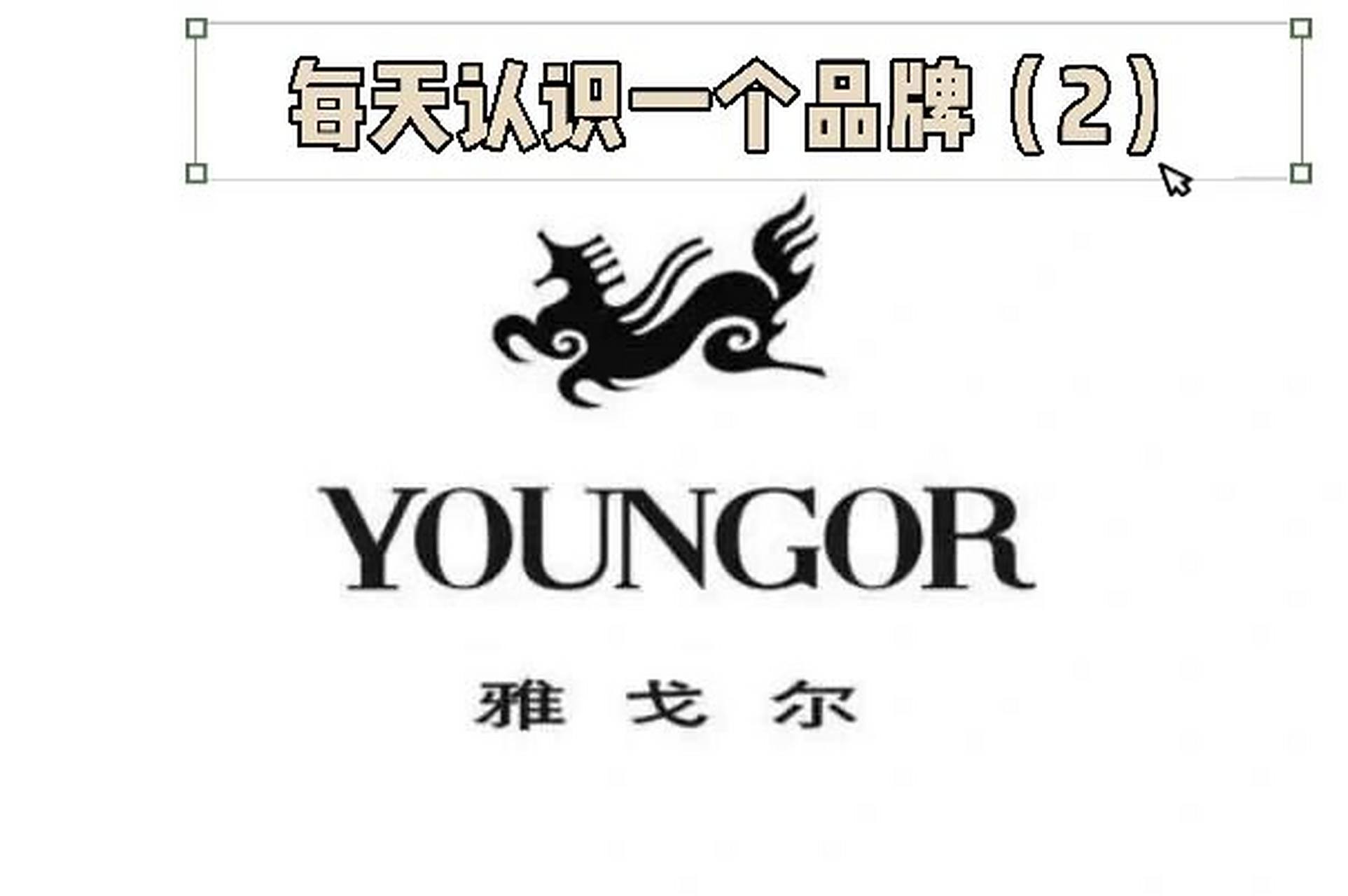 雅戈尔集团 简介 雅戈尔是一家品牌服装生产企业,于1979年成立,总部