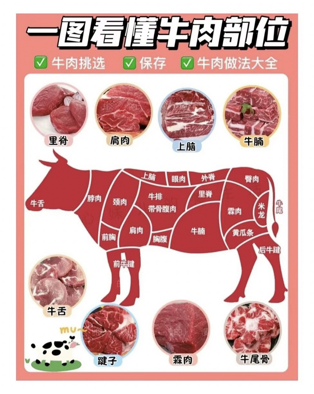 牛肉位置图片大全图片