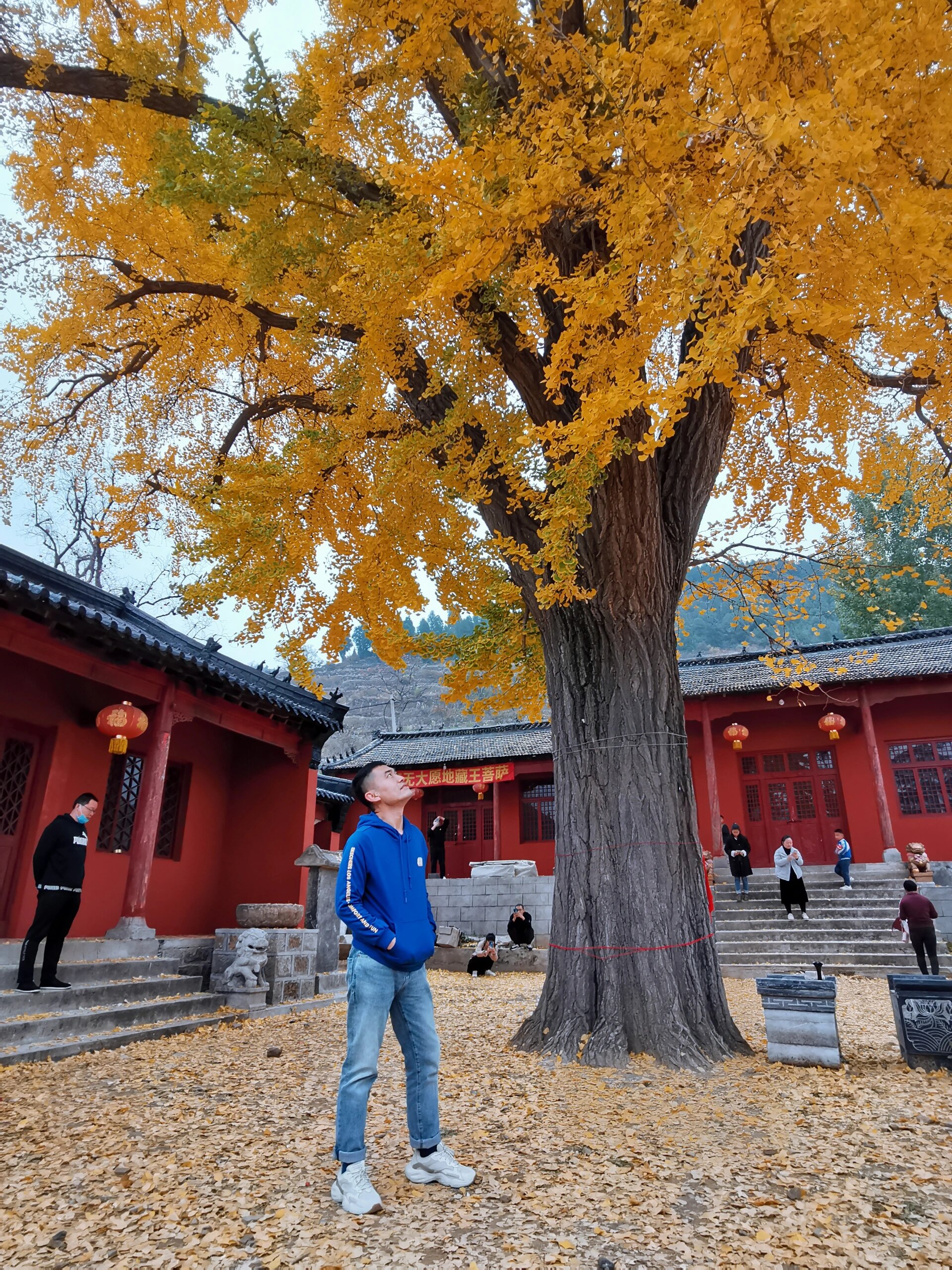 莱芜高庄旅游景点图片