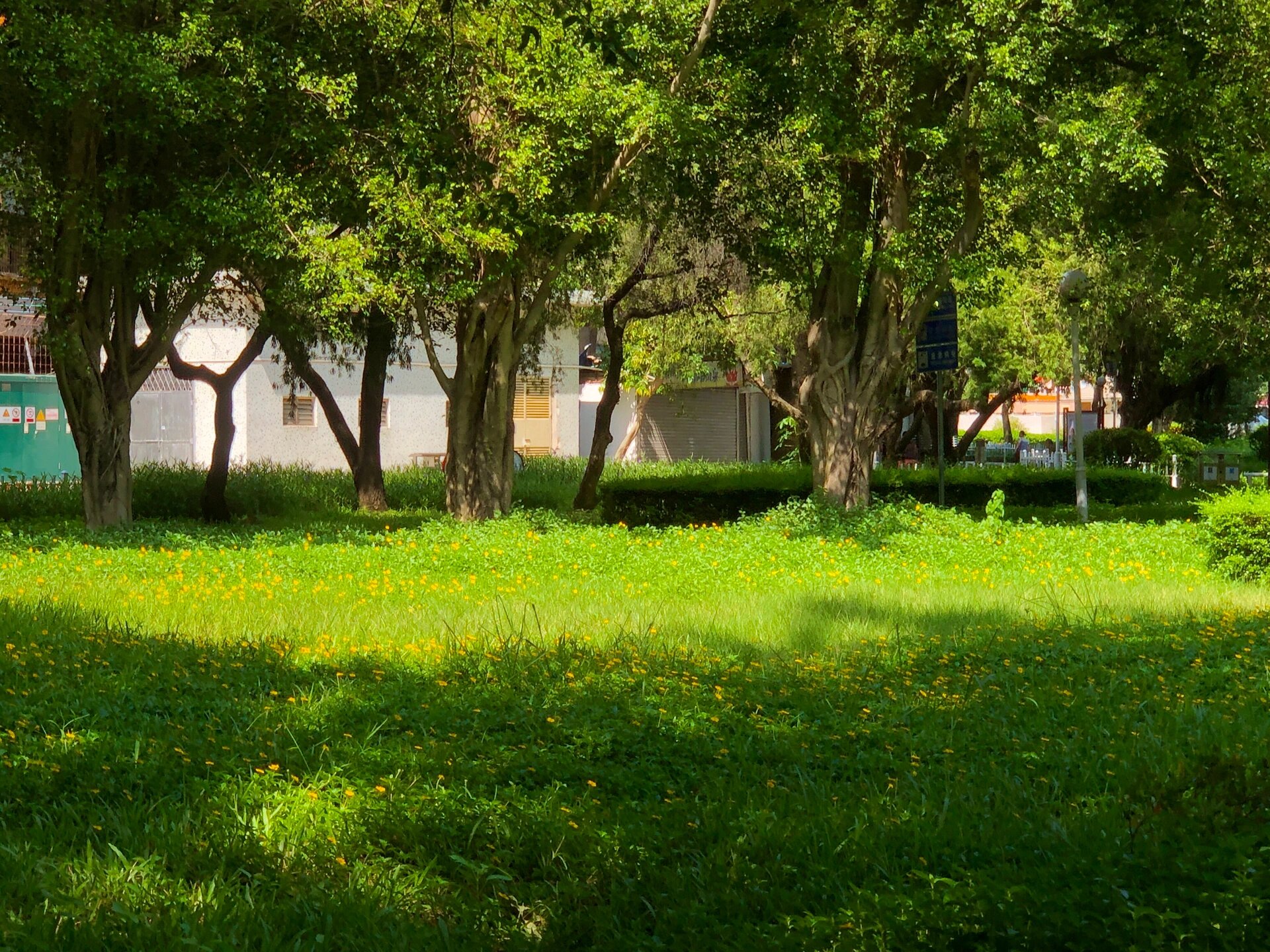 肇庆citywalk| 宝月公园