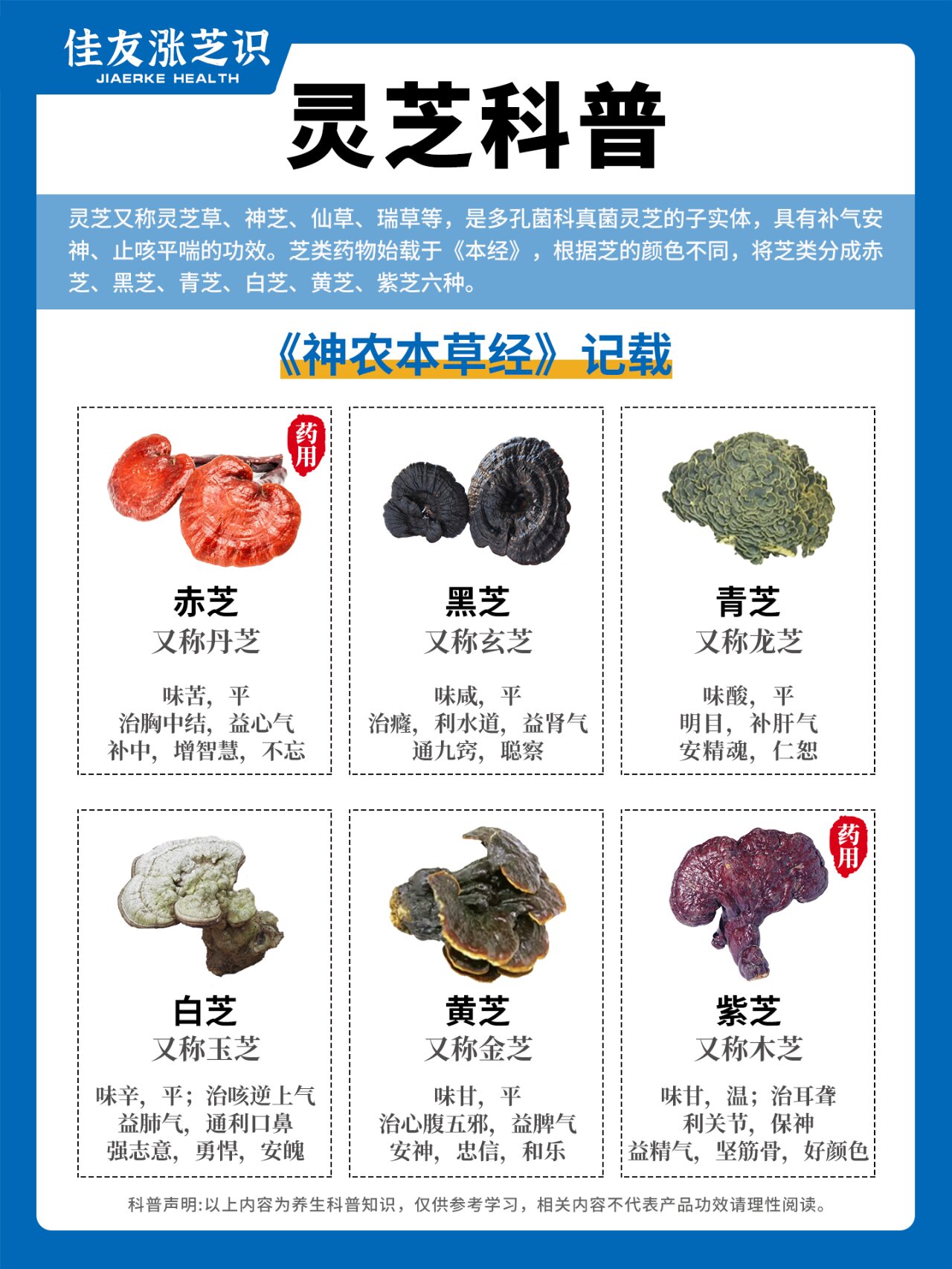 一张图分清灵芝品种!