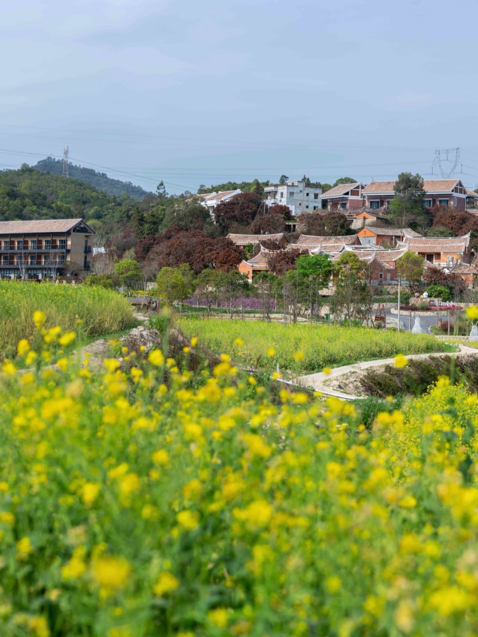 厦门翔安一日游 厦门翔安一日游 厦门翔安大帽山避暑圣地,远离城市的