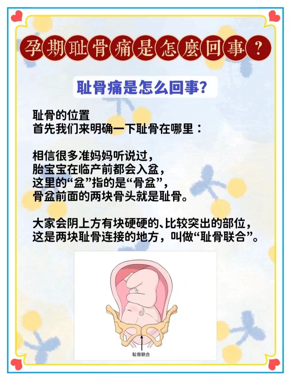 耻骨的位置 首先我们来明确一下耻骨在哪里: 相信很多准妈妈听说过