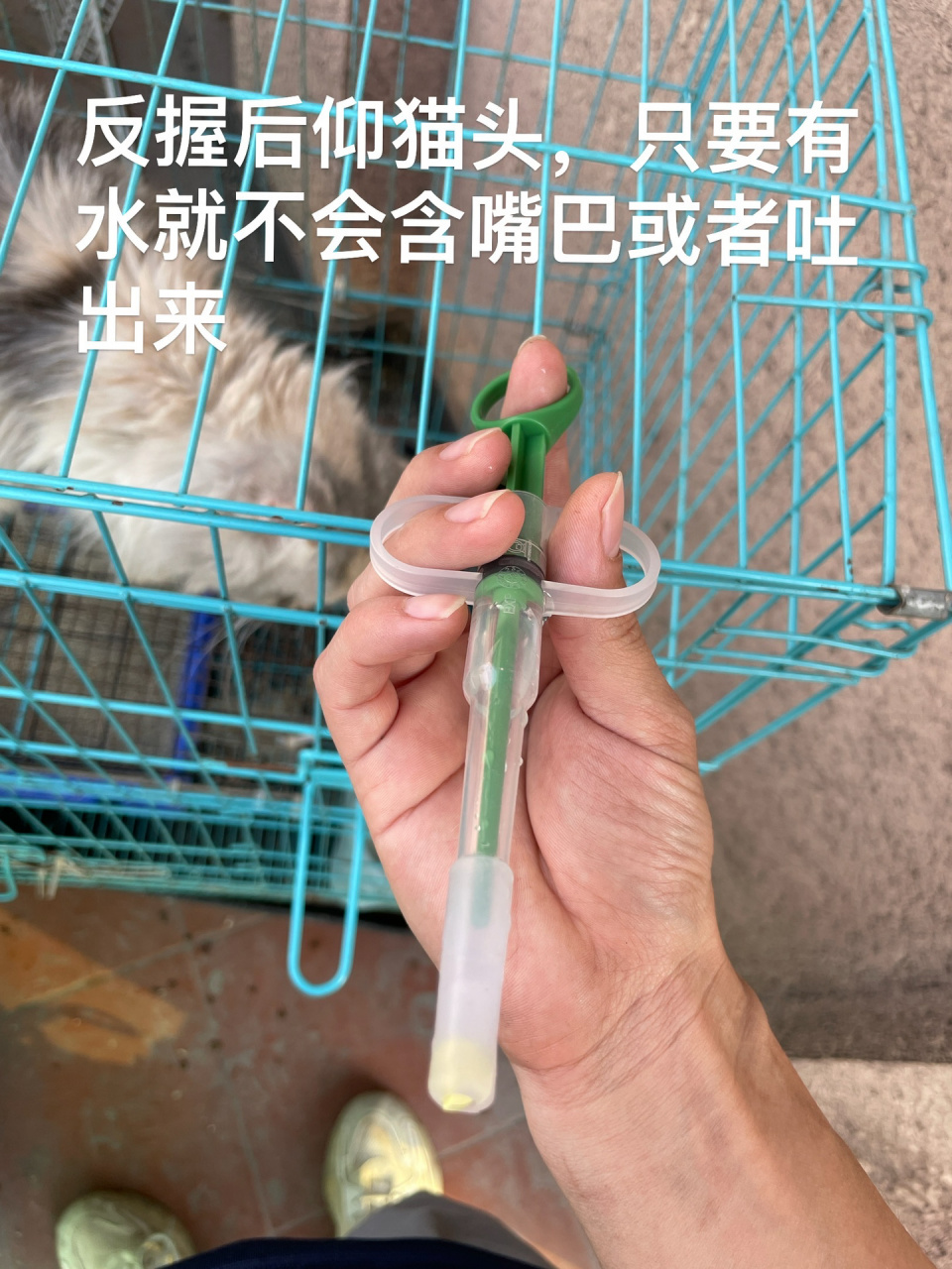 宠物喂药器使用方法