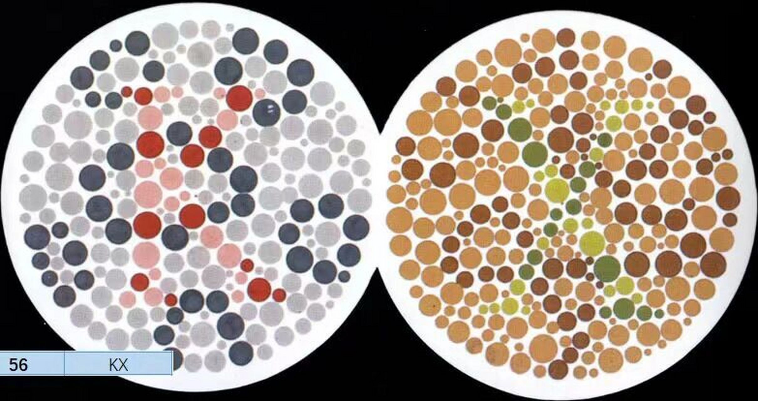 红绿黄色盲色弱测试 双图版 红绿黄色盲色弱测试 双图版 色弱色盲就是