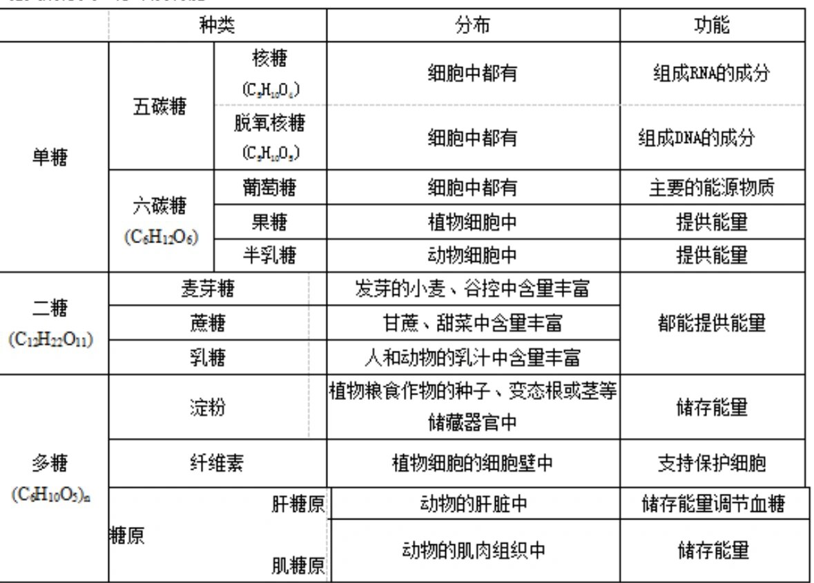 六碳糖结构图图片