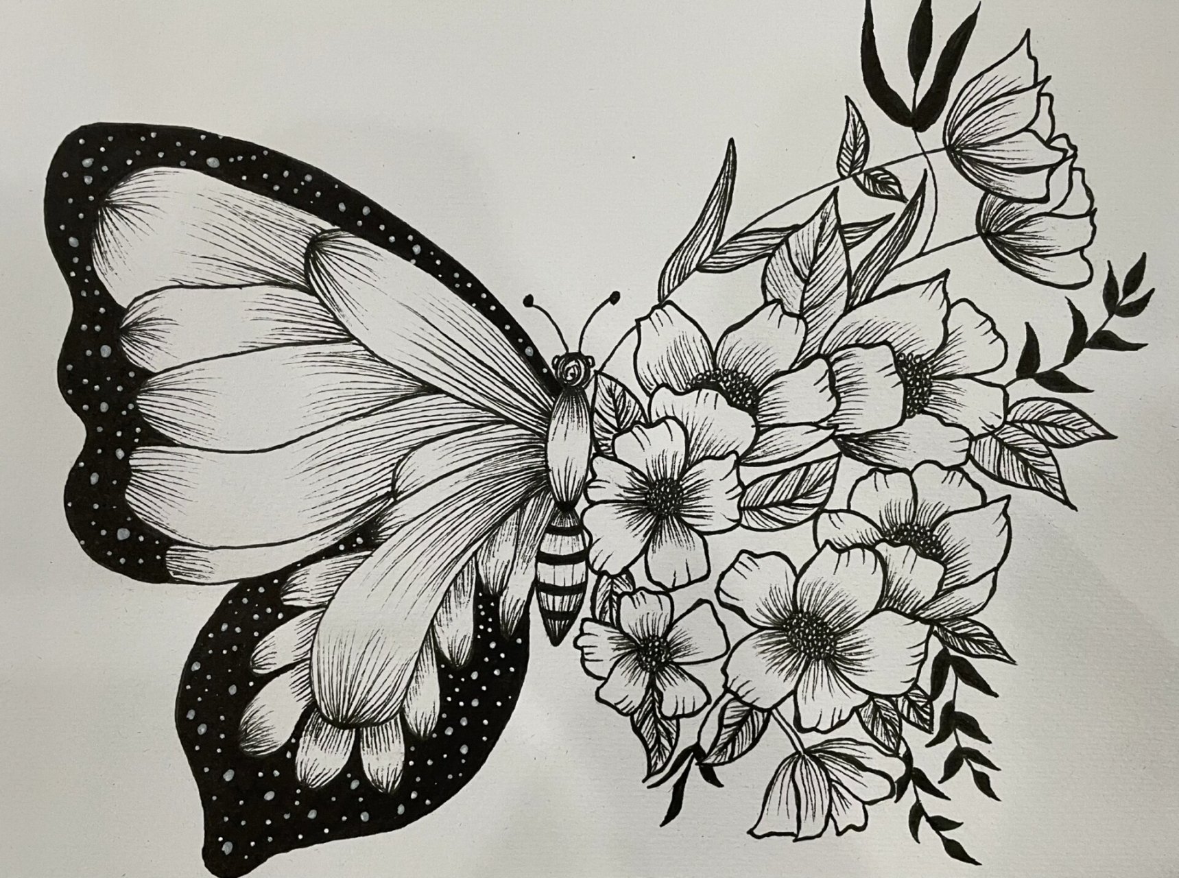 黑白线描画—蝴蝶与花