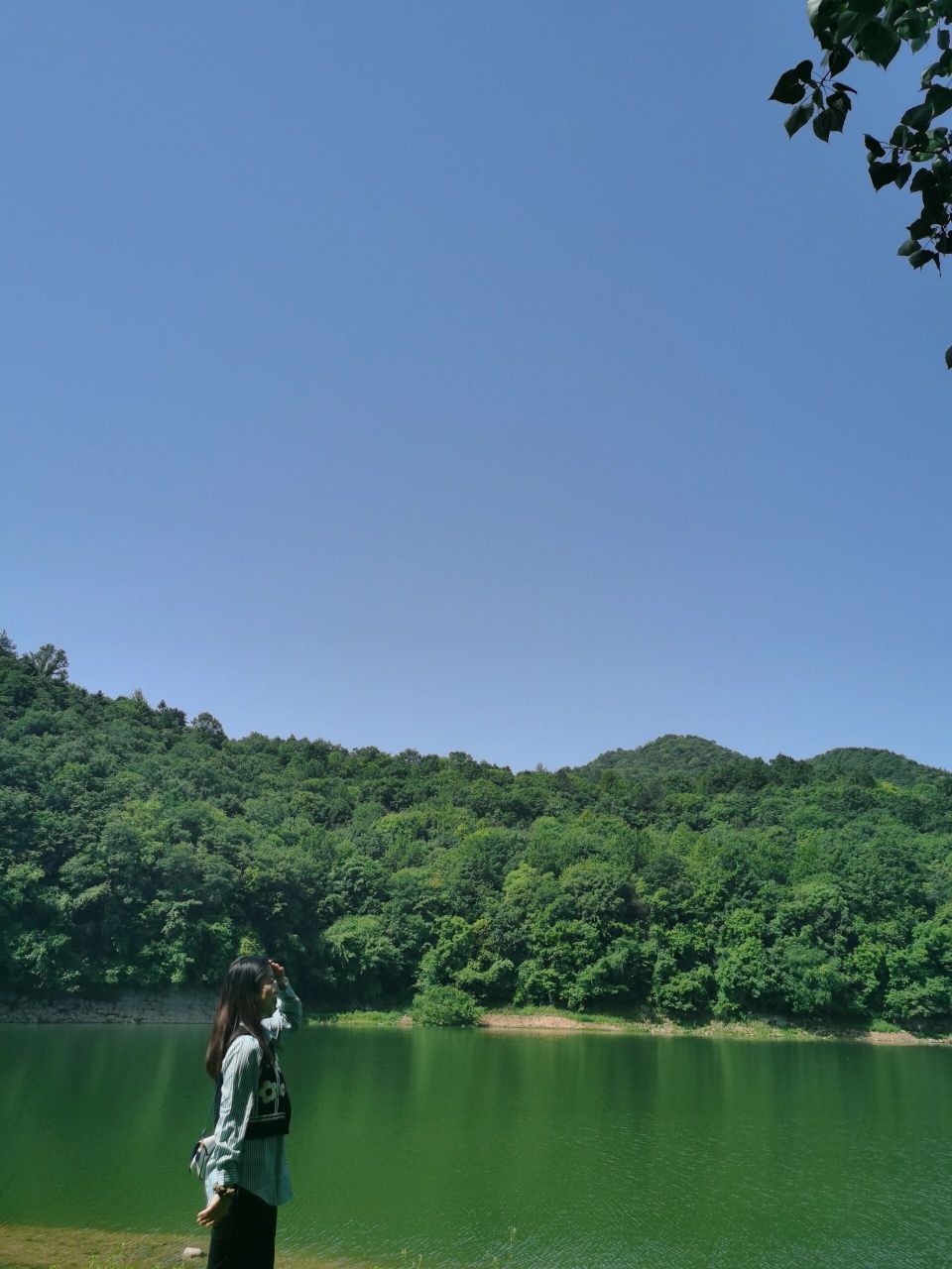 襄阳谷城狮子岩水库 打卡天然氧吧