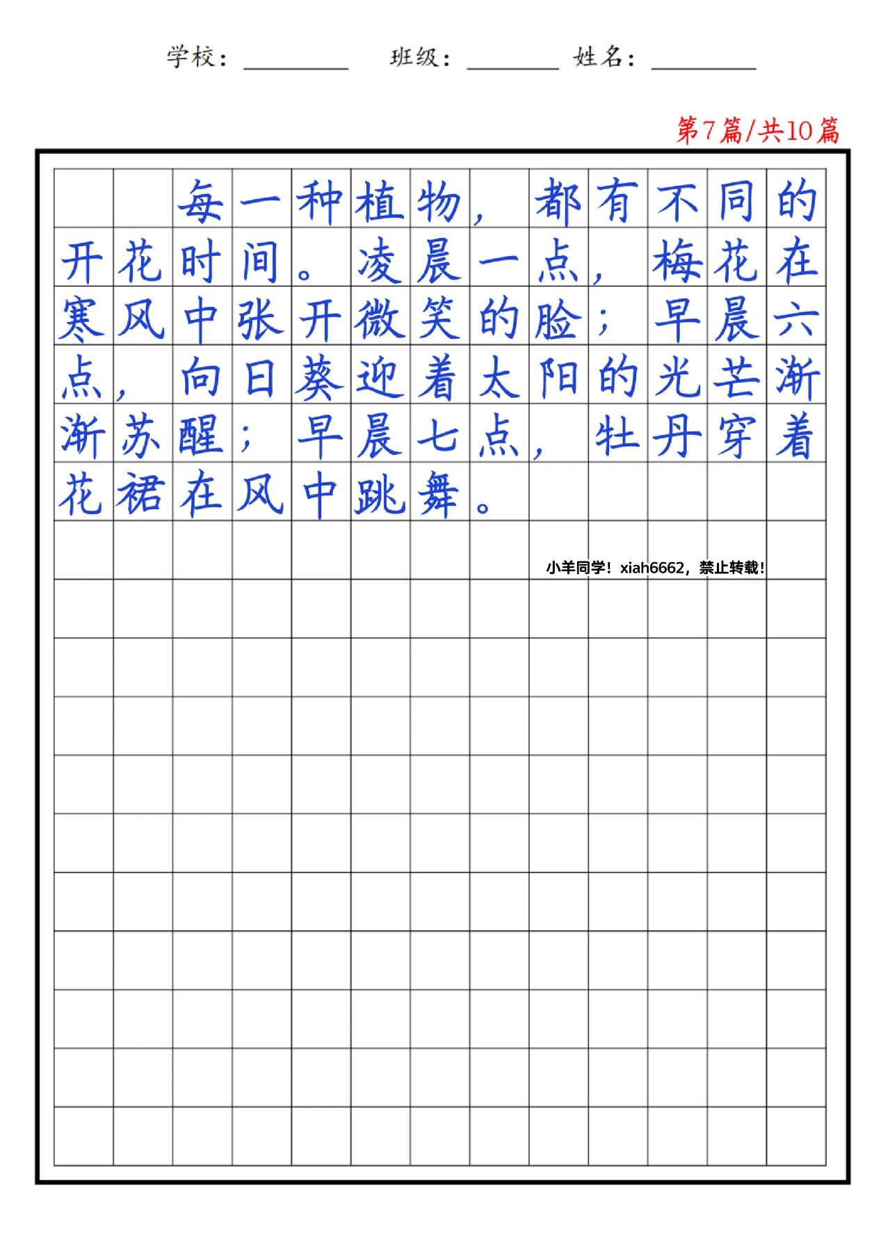 13花钟小练笔图片