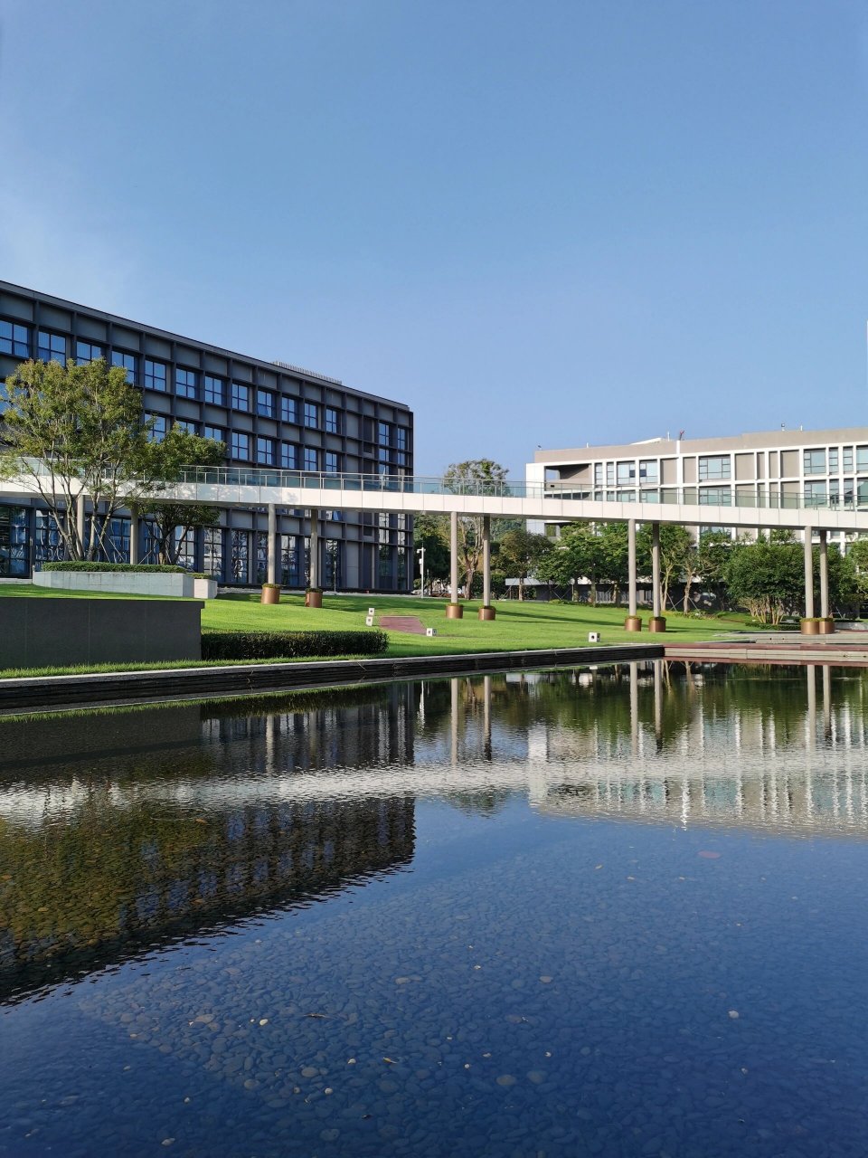 深圳大学,丽湖校区,畅享安静校园 国庆假期没出外,回深大畅享安静时光