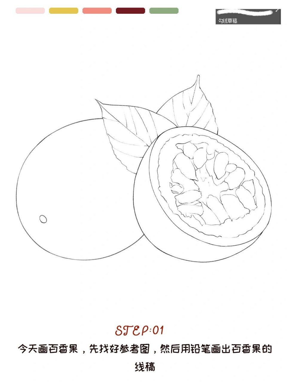 今天画百香果 工具:procreate ipad/ps 手绘板 附笔刷 ˉ #水彩美食