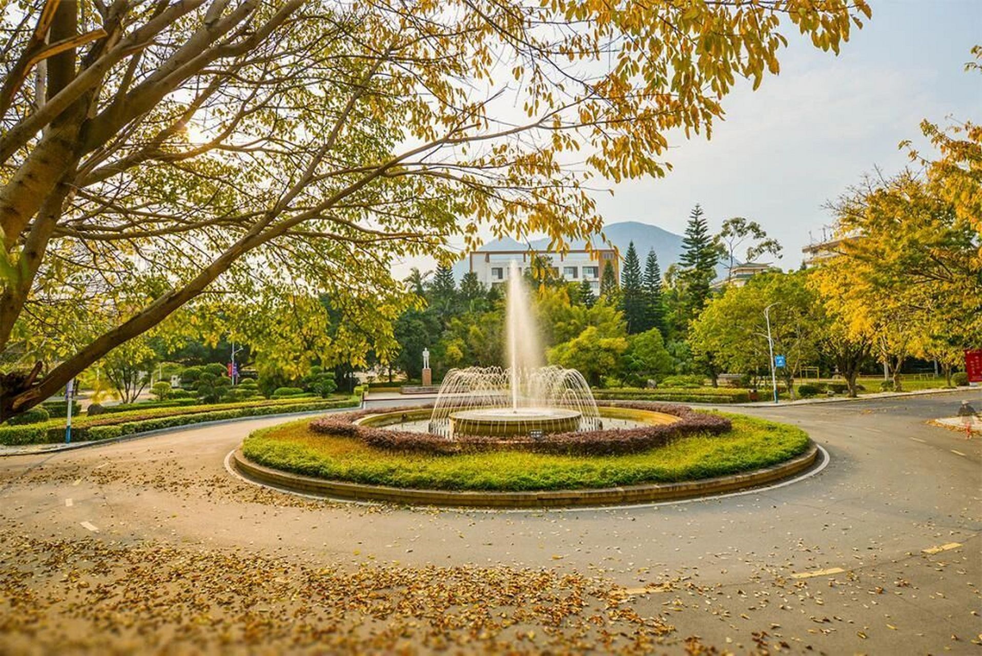 福建技术师范学院来噜 鉴于好多朋友在问石竹校区的环境所以补发这条