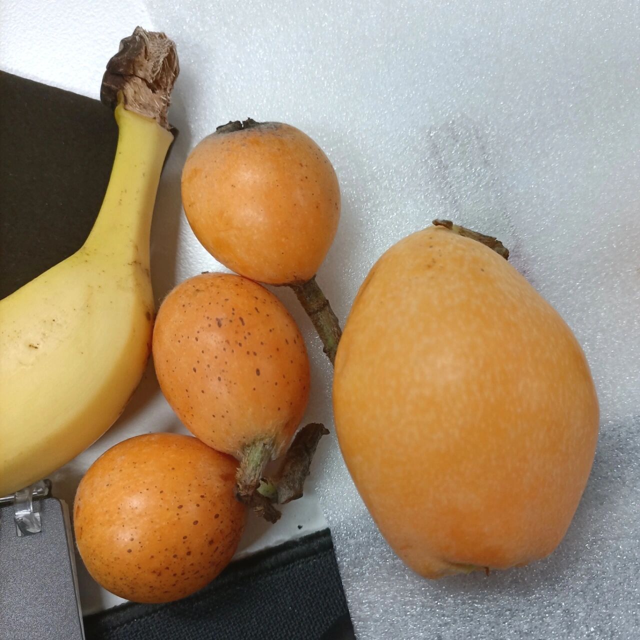 【水果get】丽水高山枇杷 快递解封后的第二弹! 好吃的小不点枇杷!