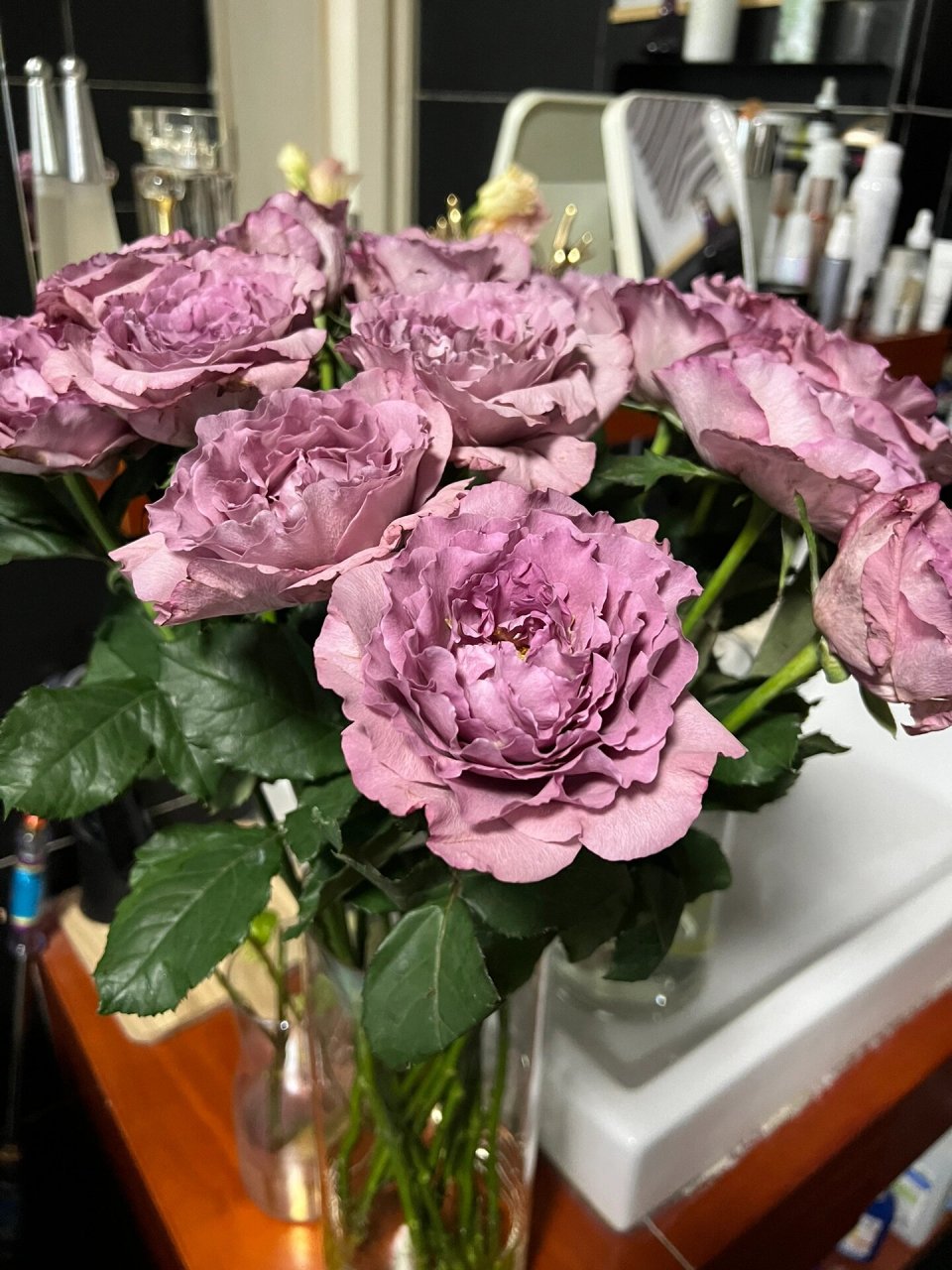 浓香型选手—暮光之城玫瑰 暮光之城是一款浓香型紫色系玫瑰,花瓣厚实