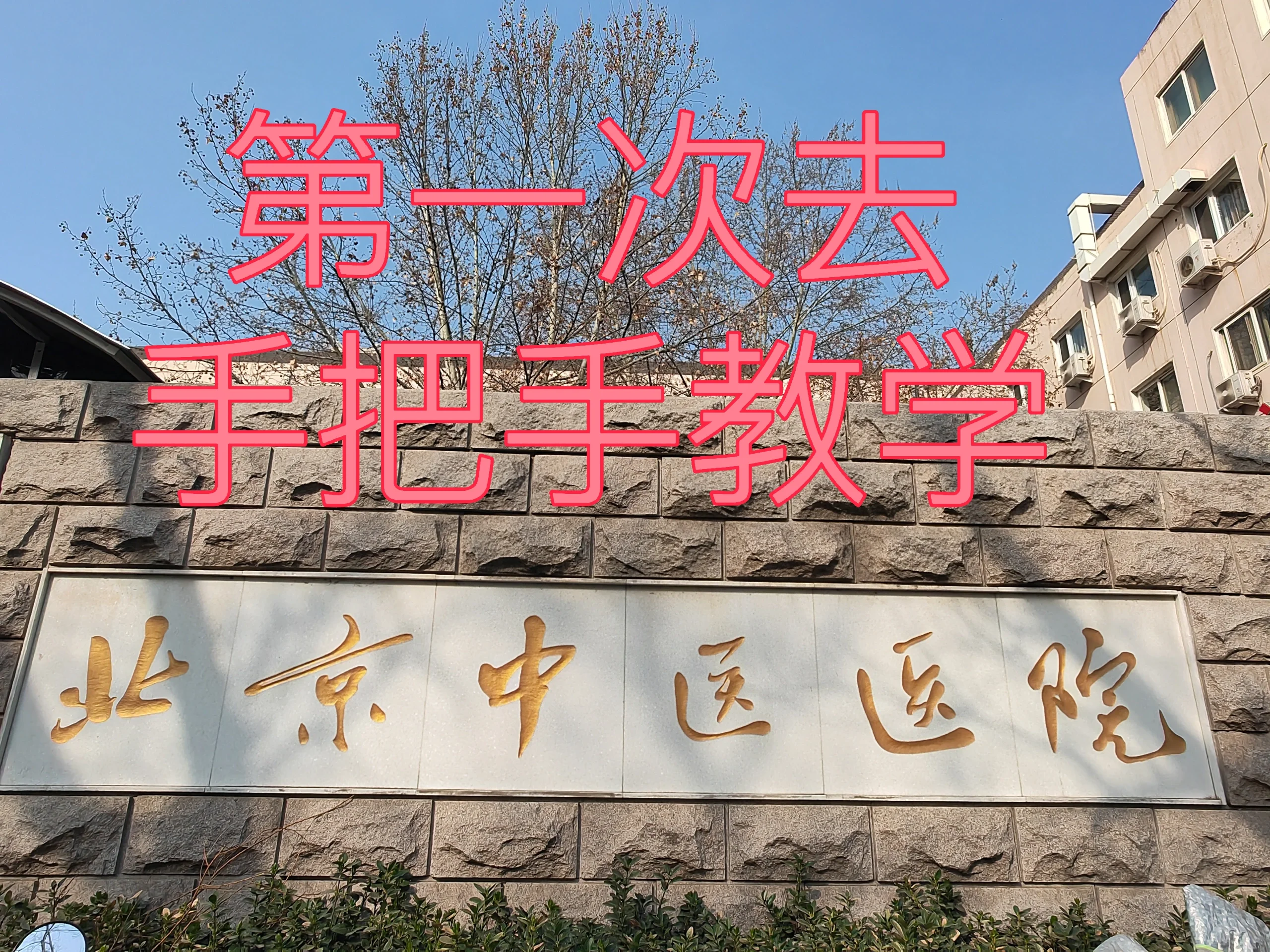 关于北京中医医院陈彤云医疗团队介绍代挂号，诚信快速贴心服务的信息